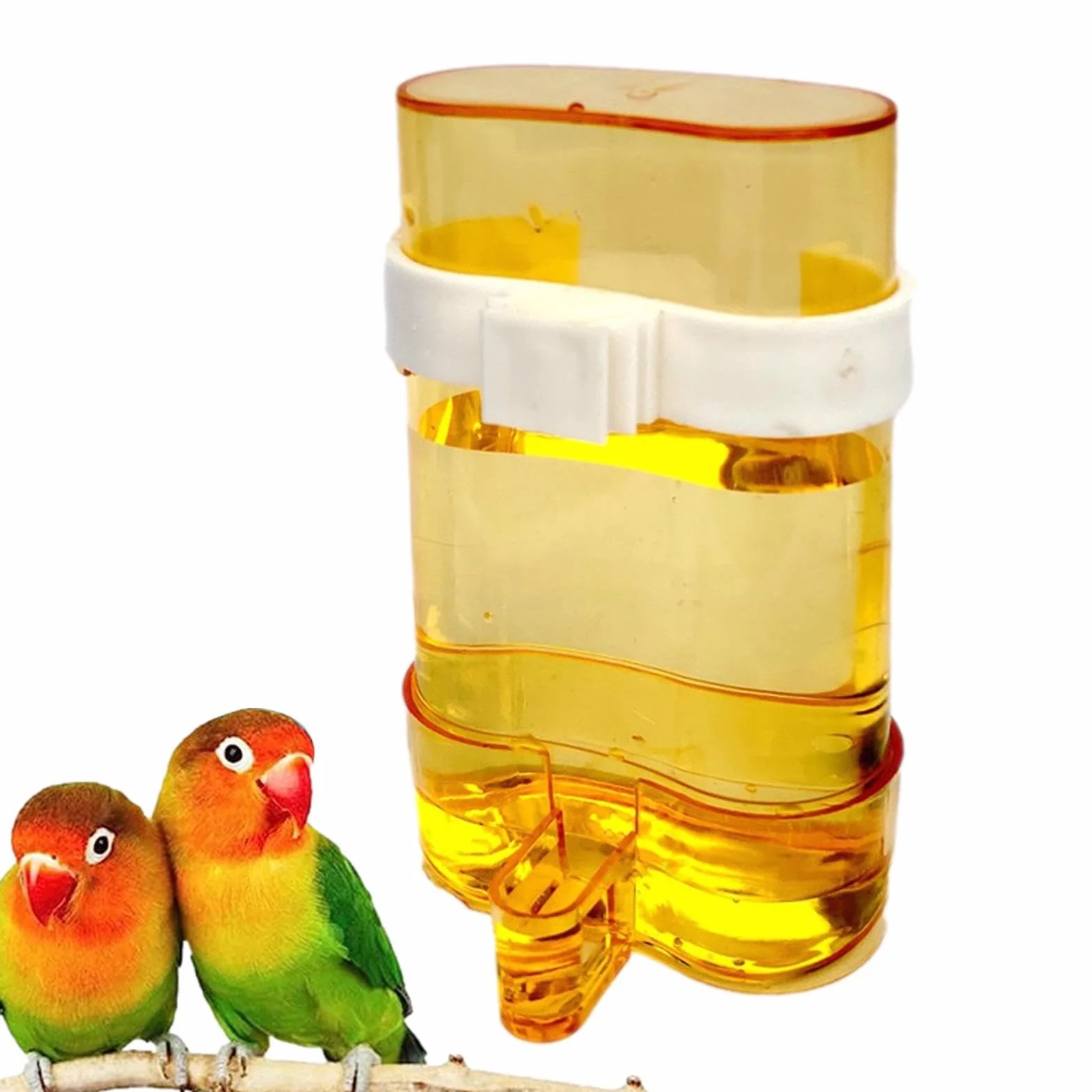 Distributore di Acqua per Uccelli, igienico, Trasparente, Automatico, 200 ml, per Pappagalli, Fringuelli, Calopsiti