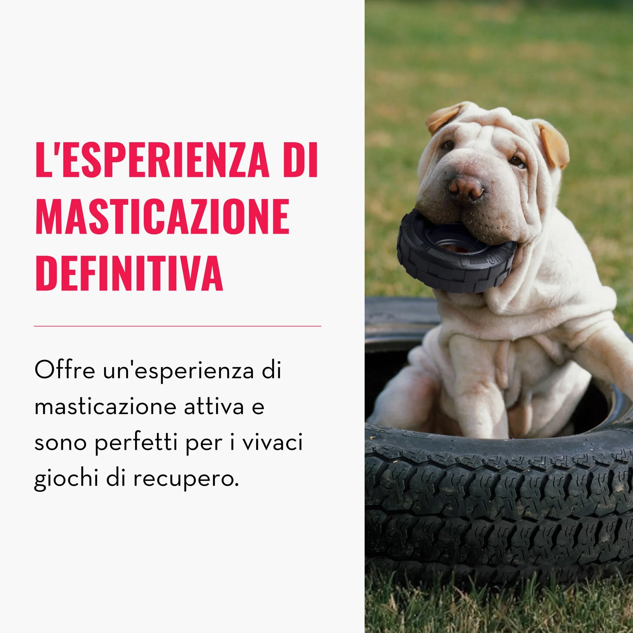 KONG Extreme Tires - Giocattolo per Cani in Gomma Naturale Durevole - Dispenser di Biscotti per Cani - Per Cani Di Taglia Media/Grande
