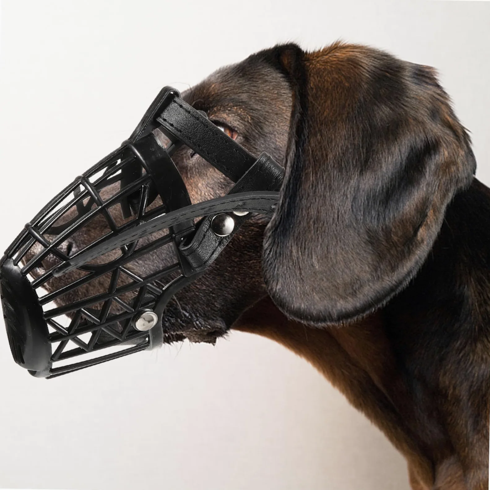 INOOMP Museruola per Cani in Plastica con Cestello Regolabile e Cinturino in Pelle Pu Nero, Set da 7 Unitá Anti-morso Traspirante per Cani e Animali Domestici