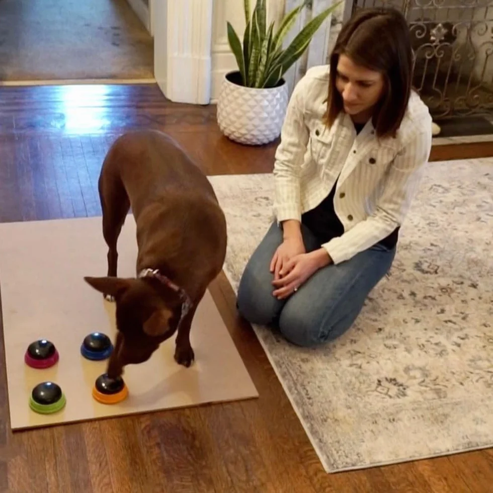 Hunger for Words Set di Avviamento Talking Pet, Pulsanti registrabili per Cani, Pulsanti per Cani parlanti, Insegna al Tuo Cane a Parlare
