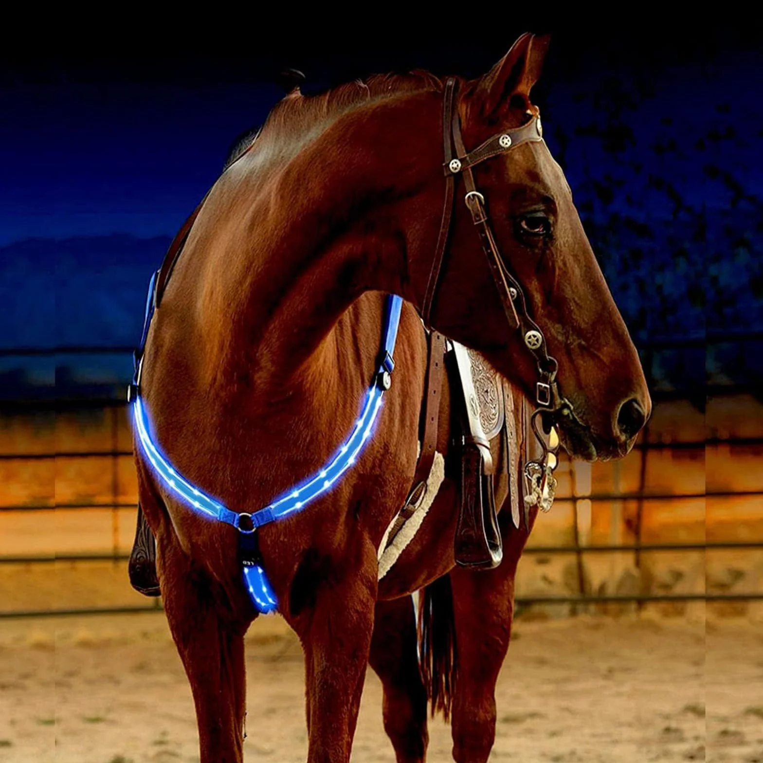 SSZYace Pettorale regolabile a LED per cavallo, in nylon, con luce lampeggiante notturna, equipaggiamento di sicurezza equestre con 3 modalità di illuminazione e ricaricabile tramite USB (blu)