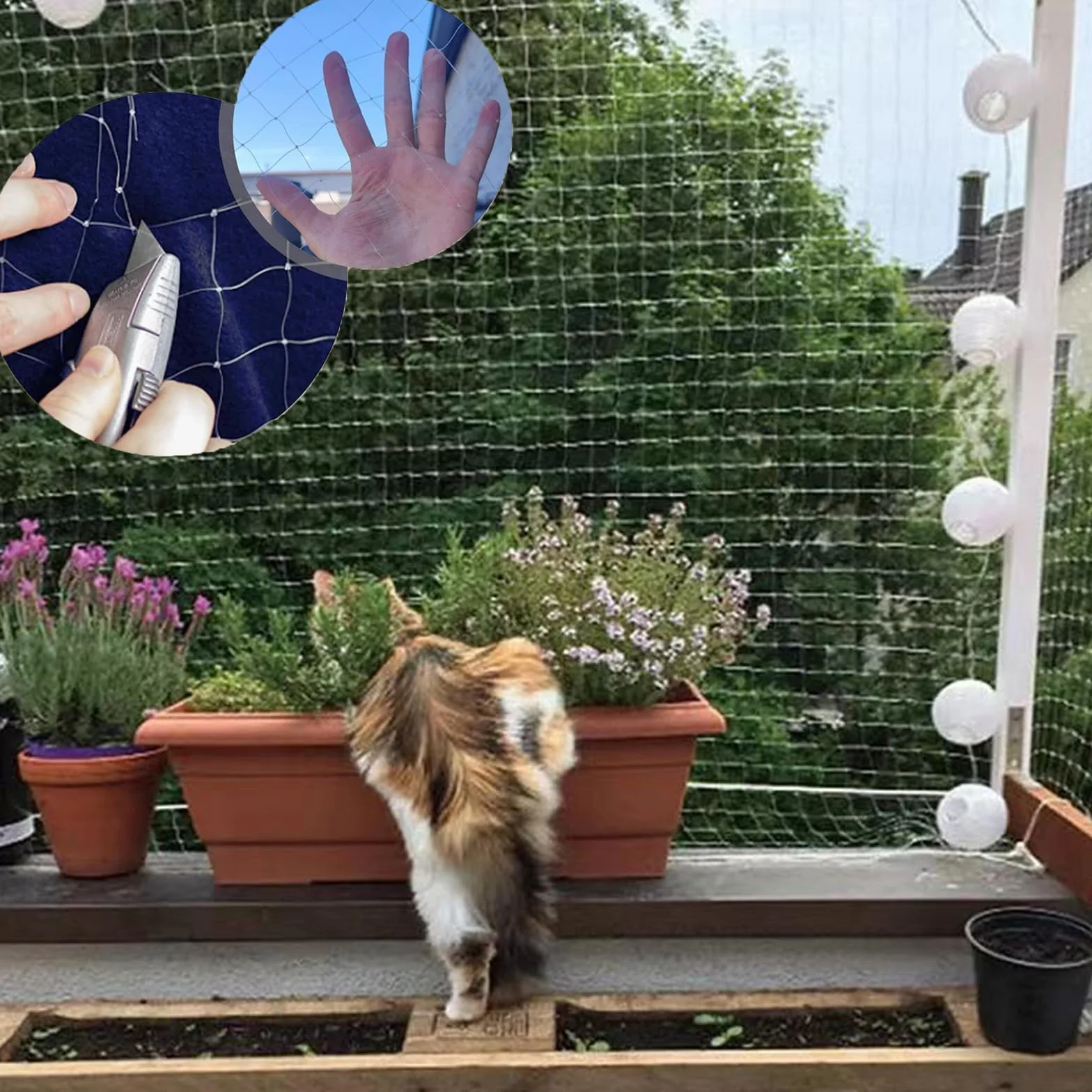 Rete Gatti, 4x3m Rete per Balcone Esterno, Rete Anti piccioni, con Rete Rinforzata - Installazione Senza Foratura, Resistente a Strappi/Morsi/Raggi UV - per Balconi Esterni, Scale, Finestre (6 x 3 m)