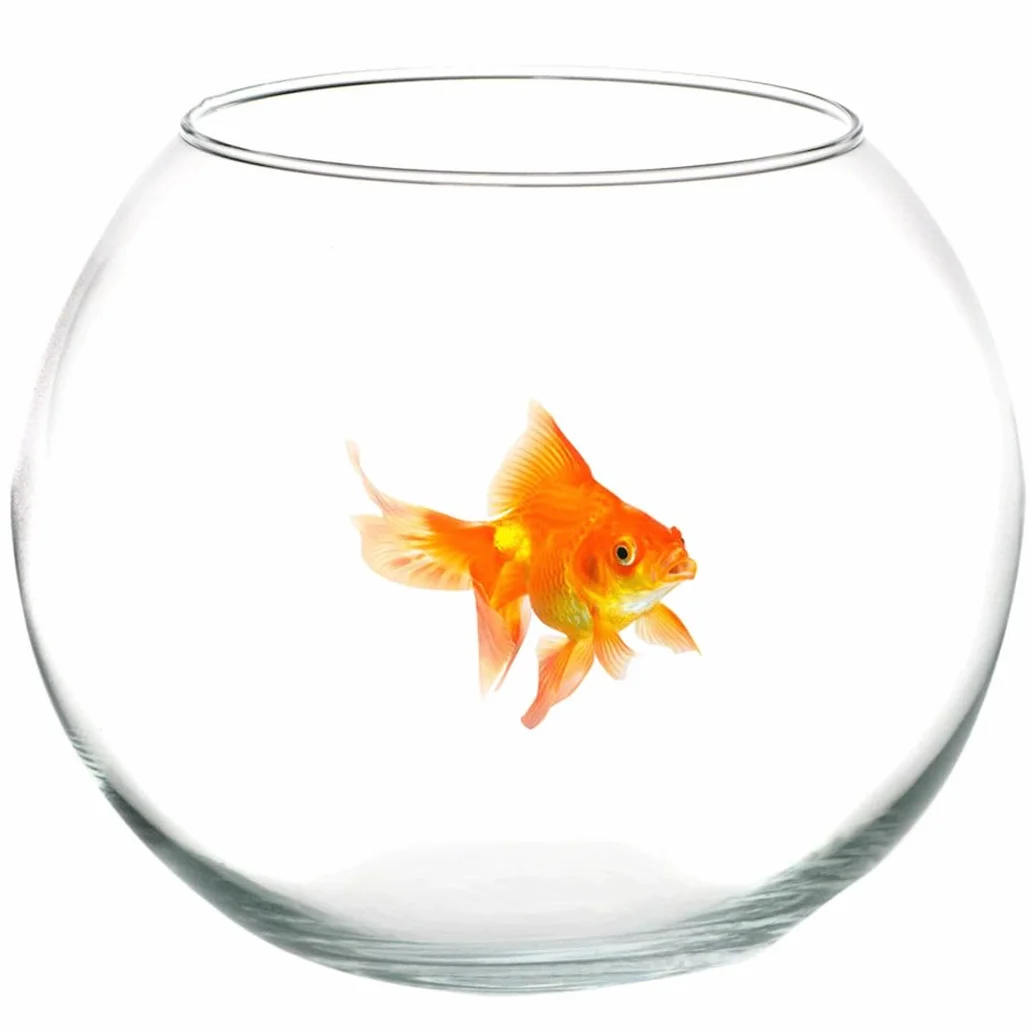 AMPOLLA Boccia per Pesci in Vetro 20 CM Acquario Pesce Rosso CENTROTAVOLA