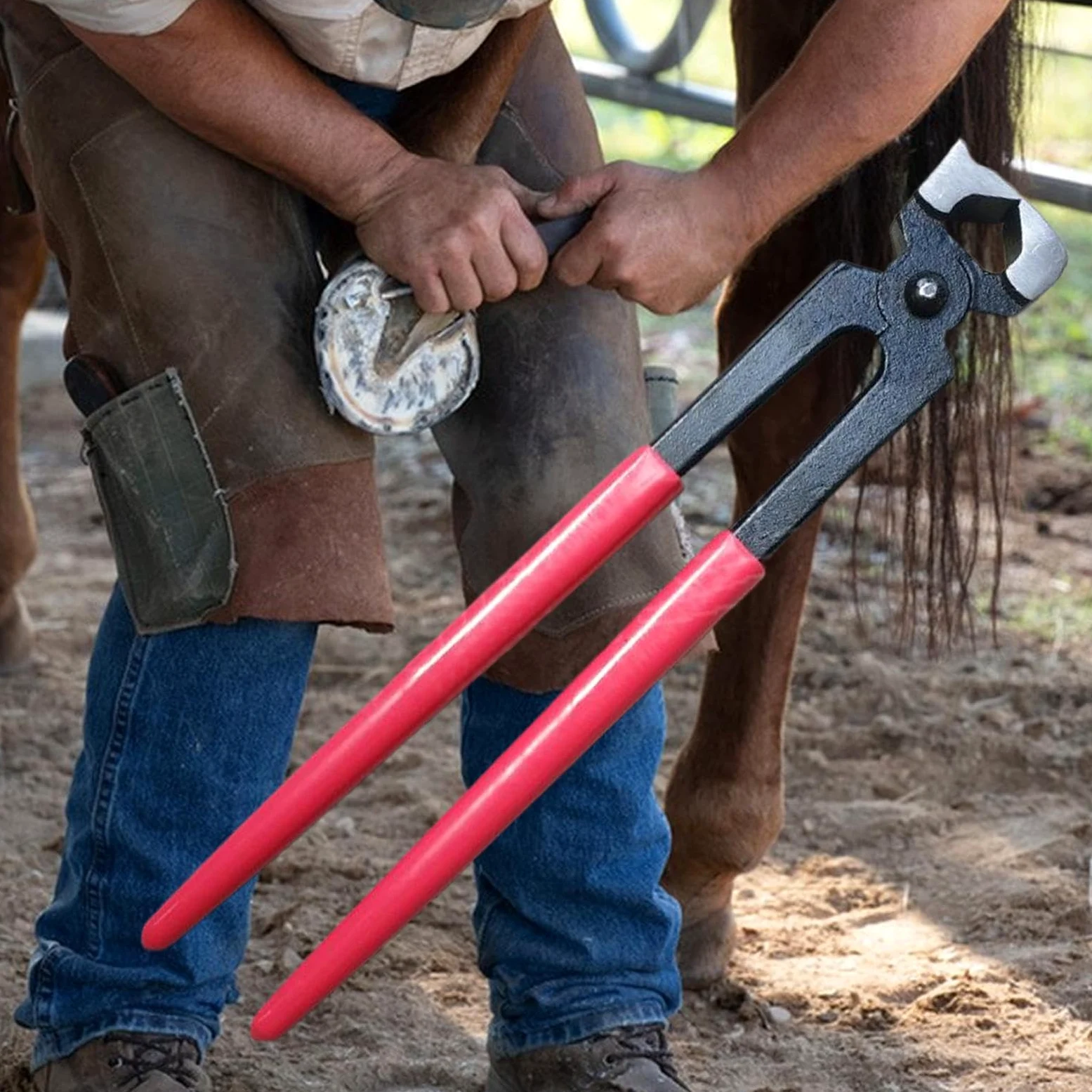 Tenaglie Da Zoccolo Per Utensili Di Precisione Per Maniscalchi | Tronchesi Per Capre E Pecore Per La Cura E Manutenzione, Rifilatura E Ferratura Di , Bestiame E Bovini