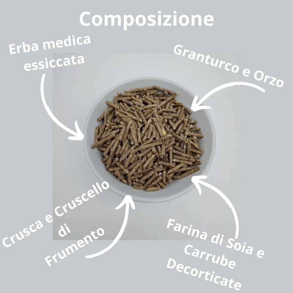 Badia Mangime per Coniglio: Confezione da 10 kg di Nutrizione Equilibrata per Conigli e Conigli Nani, il Cibo Essenziale per il Benessere dei tuoi Piccoli Amici!