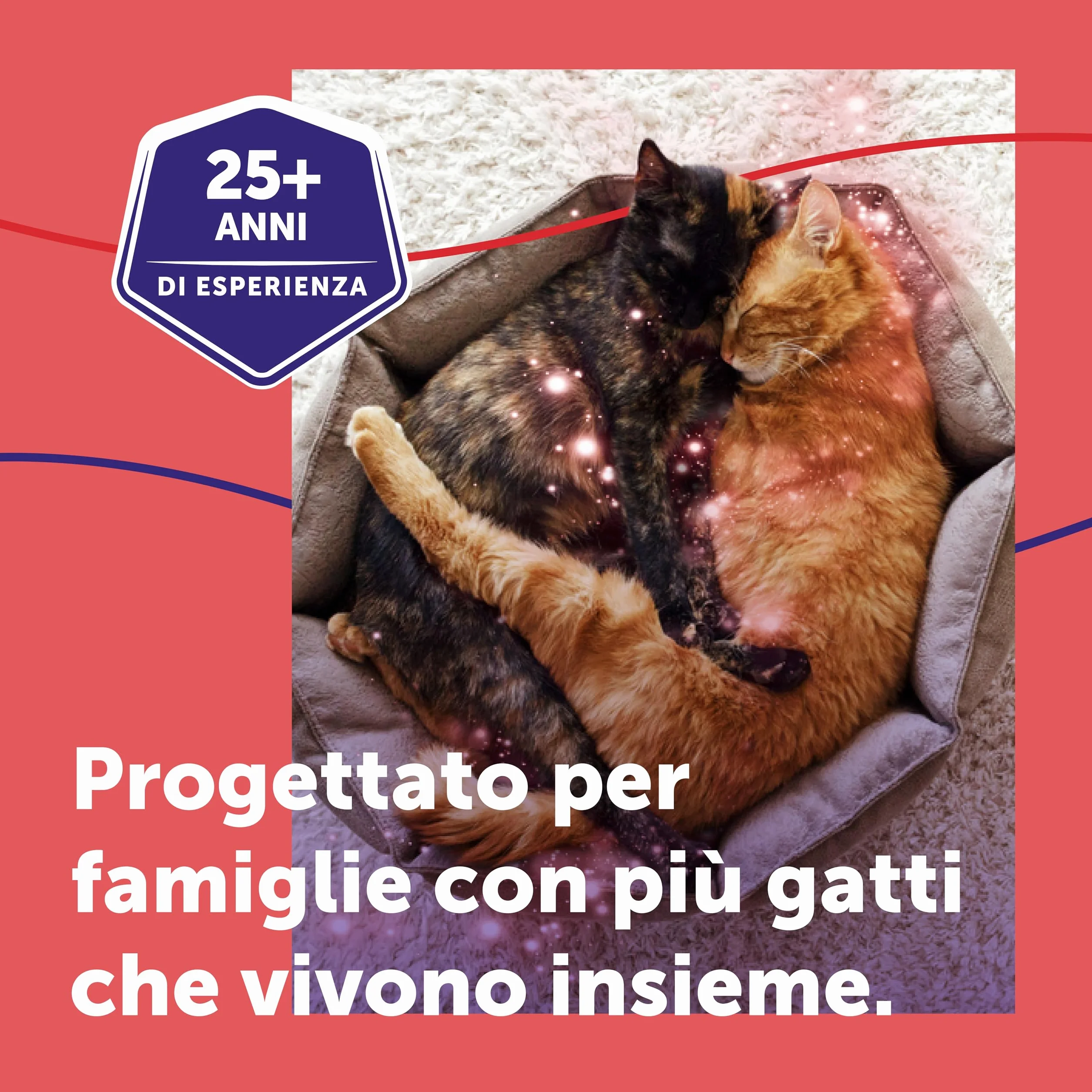 FELIWAY Friends 3x30 Giorni Ricariche Calmanti per Gatti per Diffusore di Feromoni, 48 ml – Aiuta a creare armonia e a ridurre i conflitti nelle case con più gatti. Raccomandato dai veterinari