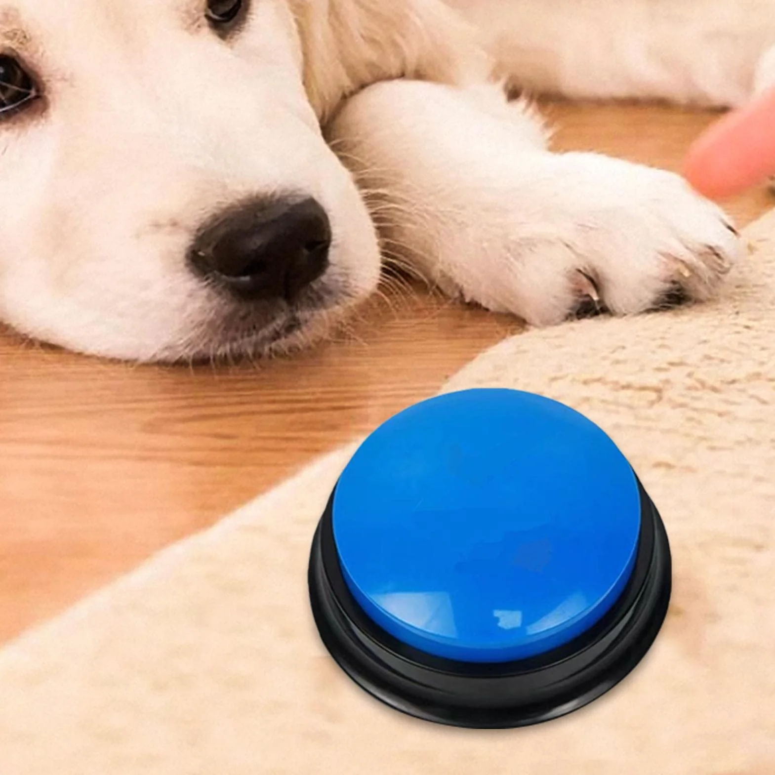 Teksome Pulsante Registrabile - Pulsanti parlanti registrabili per Cani | Cicalino di addestramento al comportamento degli Animali Domestici, Registrazione e Riproduzione di 30 Secondi, Regalo