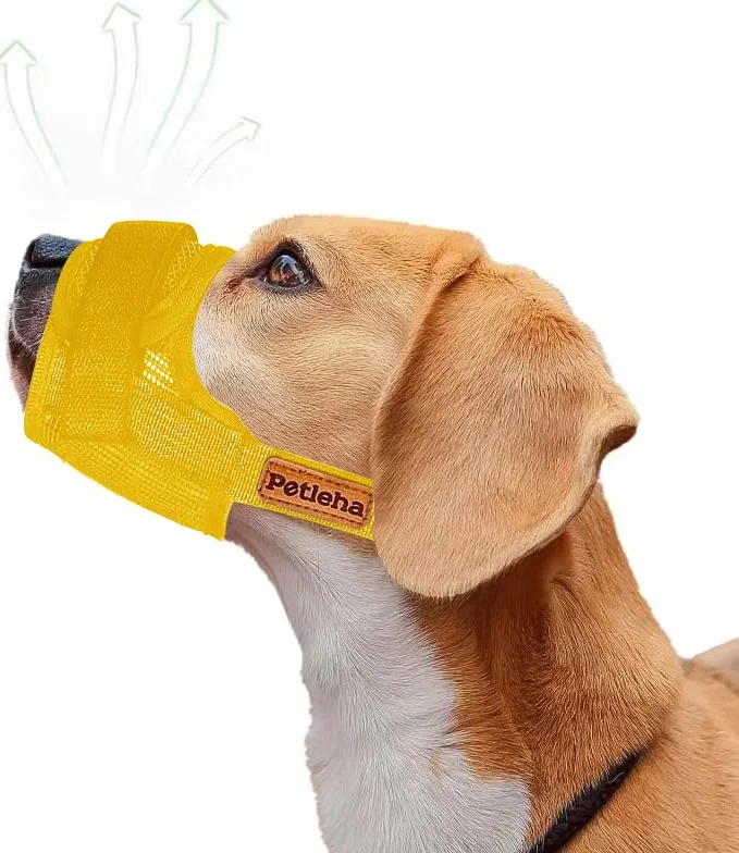 Museruola per Cani,Museruola a Rete Morbida Anti-Morso, Museruola per Animali Domestici con anello regolabile bevibile, per cani di taglia piccola, media e grande (YELLOW, L)