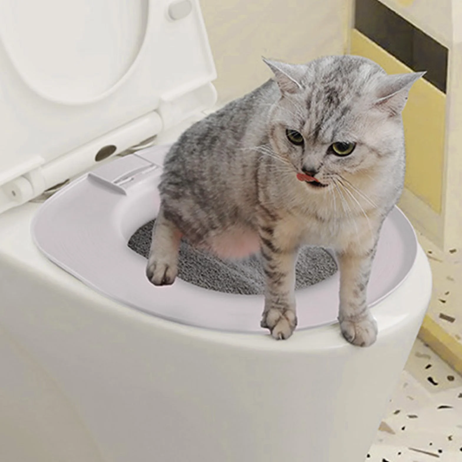 Generico Kit addestramento WC per gatti | rimovibile per urinaio - Addestratore per Gabinetto e Lettiera,per uso in Seminterrato, Negozio di Animali, Interno, Casa, Appartamento, Bagno