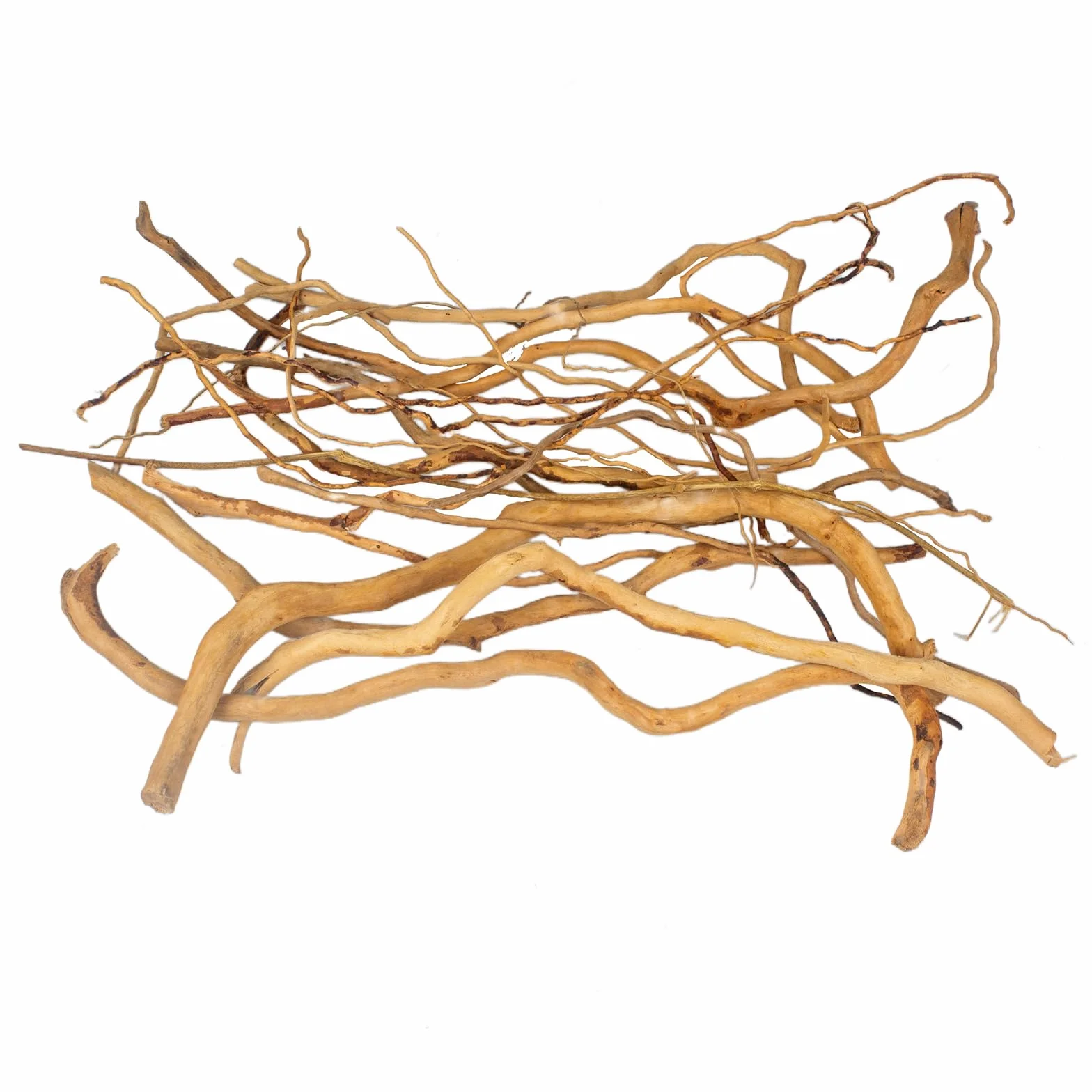 emours - Rami naturali per acquario, [170g] (40–80 cm / 16–32 pollici) - Rami unici di radice/ragno in legno per acquari, vasche con piante e terrari, decorazione per pesci e piante, ogni pezzo unico