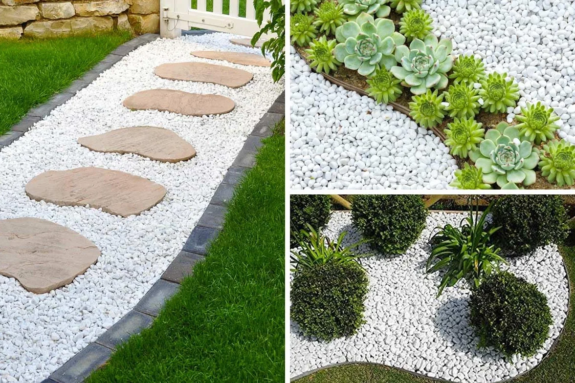Ghiaia Bianco 1,5/25KG - Ghiaia per Acquario - Sassolini Decorativi per Vasi - Sassi Decorativi per Vasi - Ghiaia per Vasi - Sassolini per Acquario - Ghiaia per Giardino, ZEN (1,5 Kg Sacco)