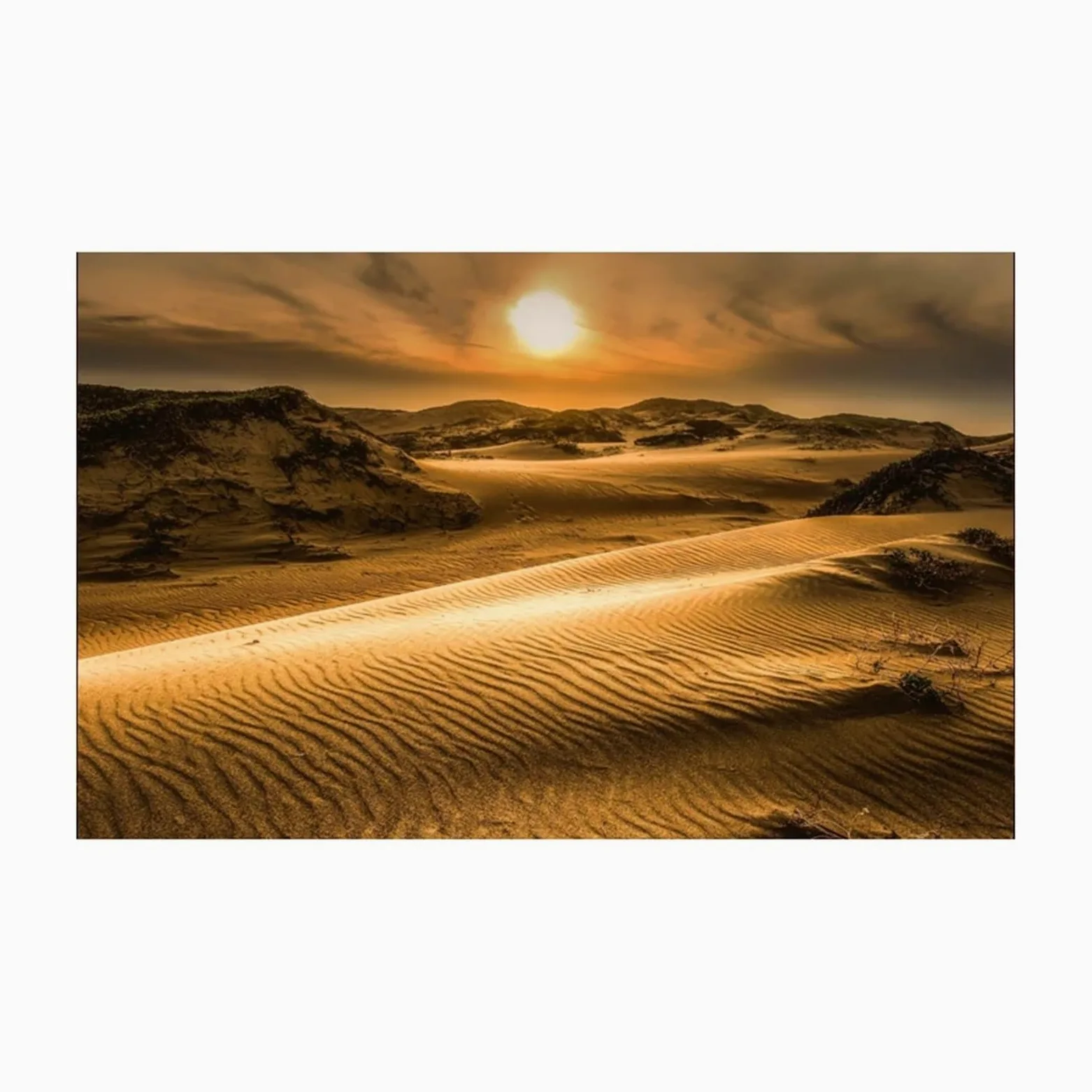 Sfondo Adesivo for Acquario, Sfondo Poster, Decorazione for nel Deserto, Carta da Parati autoadesiva(50x100cm)