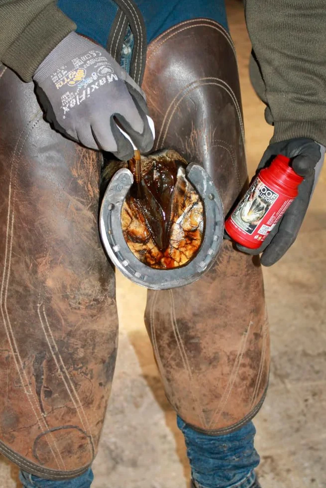Kevin Bacon’s Hoof Solution | 150 g | Adatta a Ogni Tipo di Cavallo | con Pennello Integrato | Applicazione Rapida