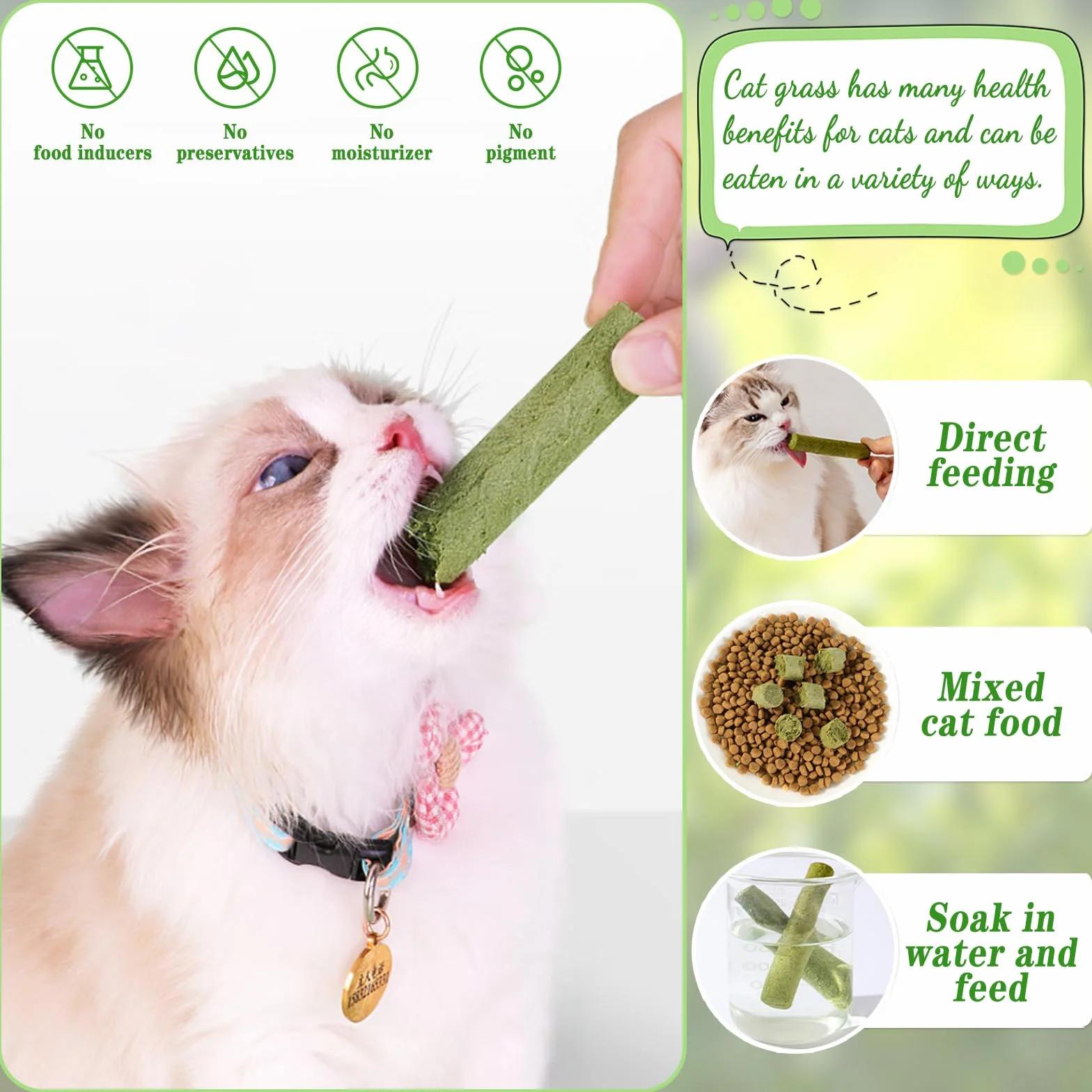 Bastoncini di Erba Gatta, 12 Pcs Stick Gatto Snack, Snack Liofilizzato con Erba Gatta per la Pulizia dei Denti, Promuovere l'assorbimento dei Nutrienti e Migliorare la Digestione