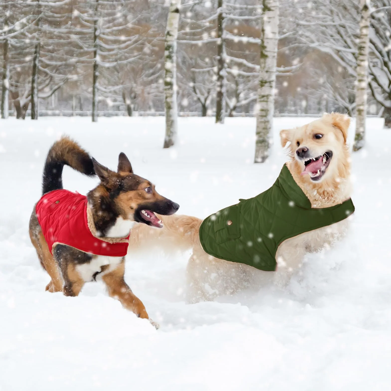 CITÉTOILE Cappotto Invernale per Cani - Gilet Termico con Lana Spessa, Giacca Antivento per Chihuahua e Razze Piccole/Medie/Grandi, Foro con Corda di Trazione, Verde, S