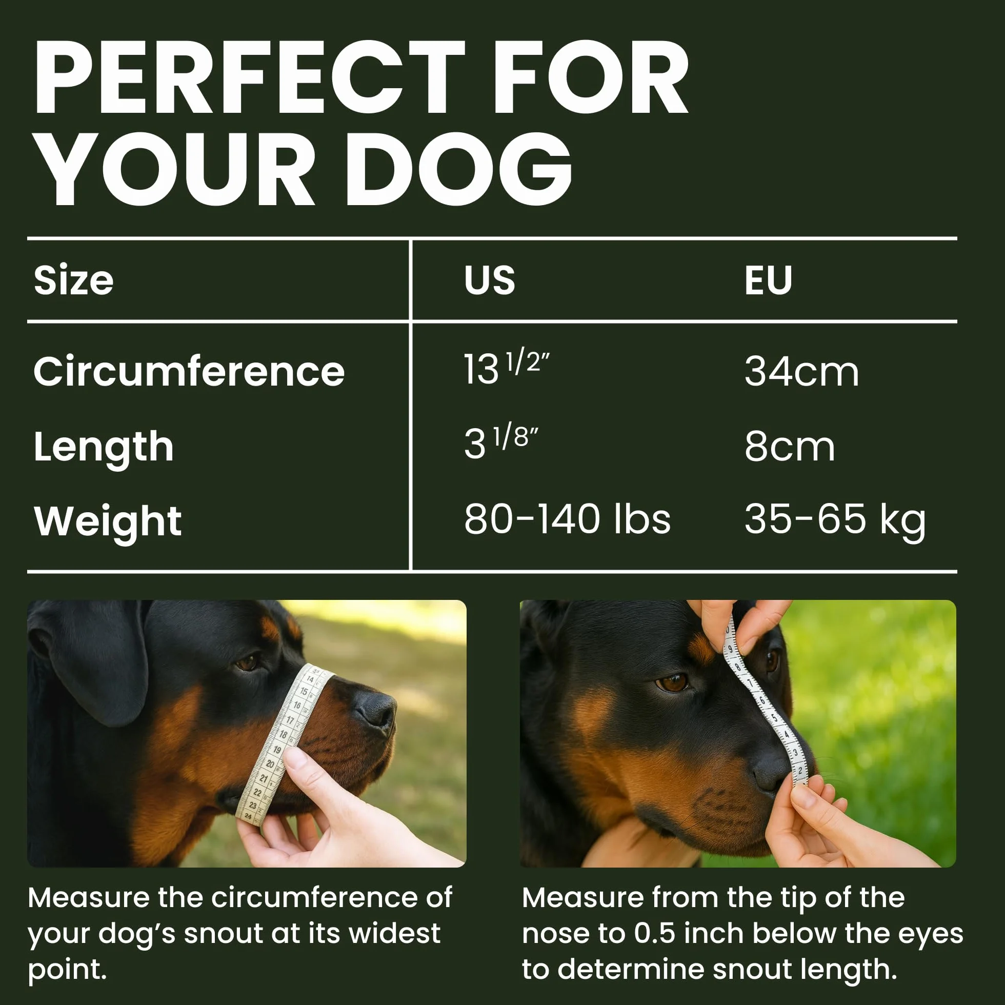 Rottweiler Dog Muzzle (nero)