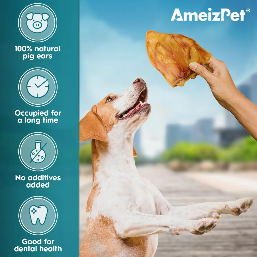 AmeizPet Orecchie Di Maiale Essiccate Per Cani, Masticativi Naturali Per Cani, Lunga Durata Croccanti Orecchie di Maiale, Dolcetto Per Cani 20 Pezzi