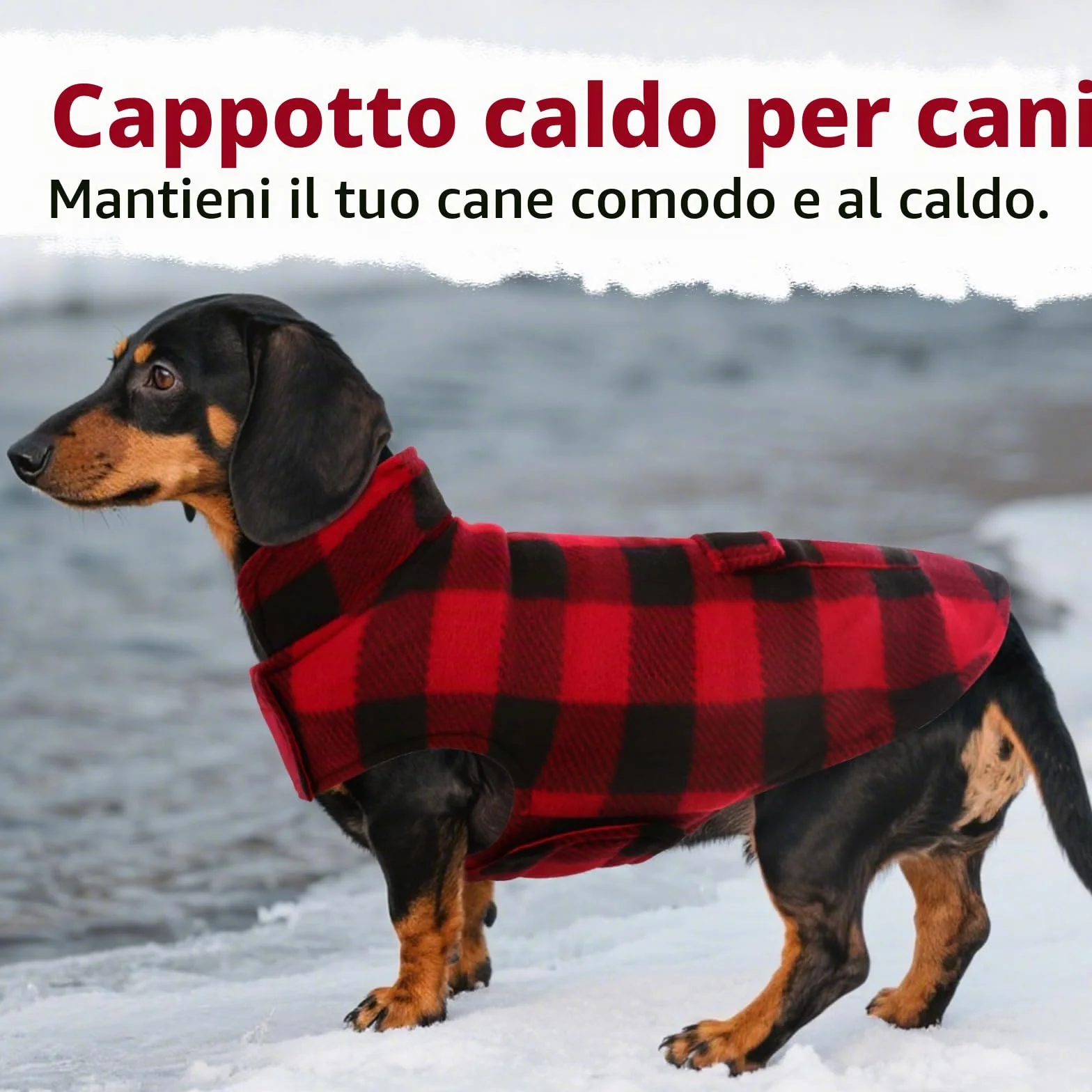 ASENKU Cappotto Cane Impermeabili Invernale, Cappottino Cane Reversibile Antivento Freddo Taglia Media M, Calda Giacca per Cani,Gilet per Cani con Fodera in Lana Protegge Dal Freddo