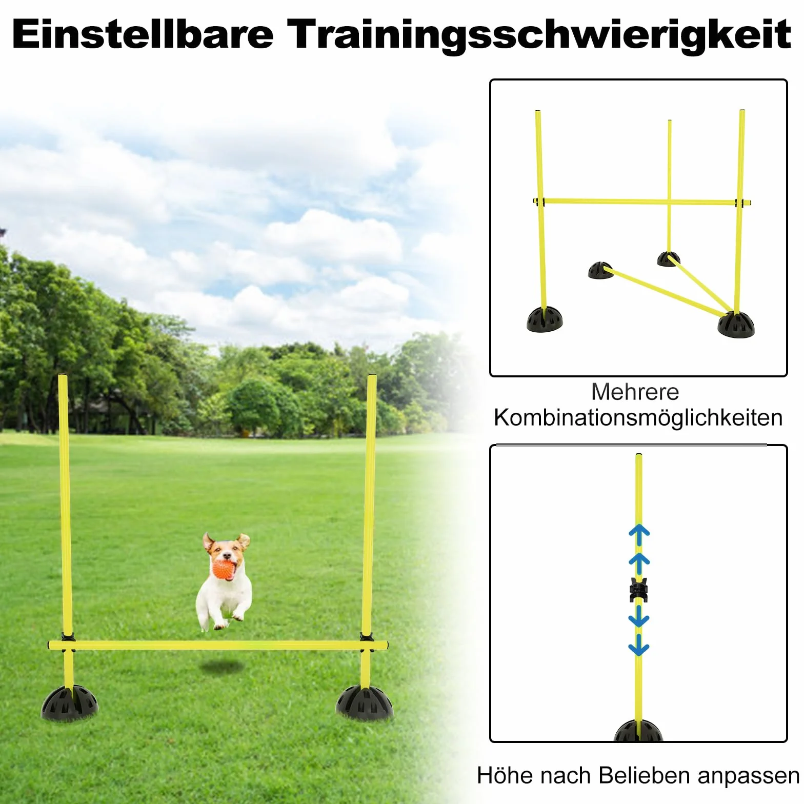 Agility Grid Set di aste per allenamento condizionale, hobby Horse ostacoli con 15 aste, 10 piedini e 10 clip