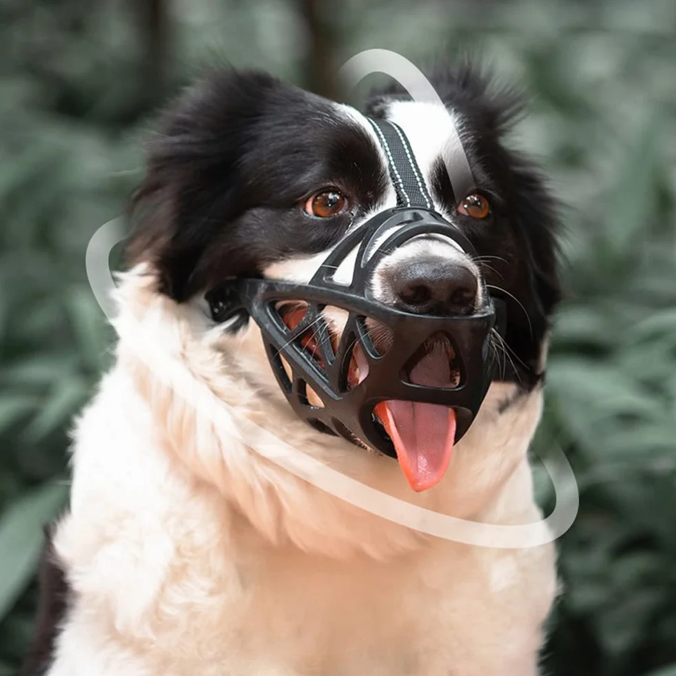Museruola professionale per cani, anti-morso e antiabbaio, permette di bere e ansimare (M, marrone)