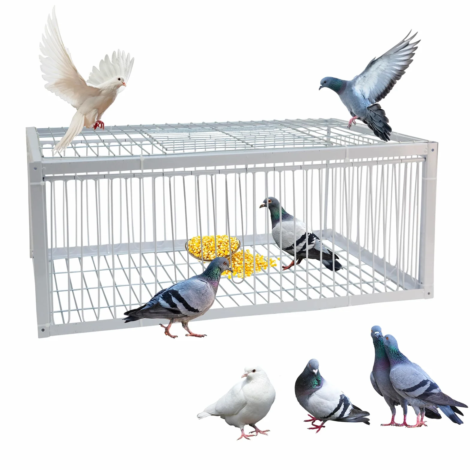 Gabbia per piccioni, gabbia per piccioni con ingresso unidirezionale su 4 lati e 1 lucernario per piccioni, pappagalli, parrocchetti e altri uccelli - 63x43x26 cm