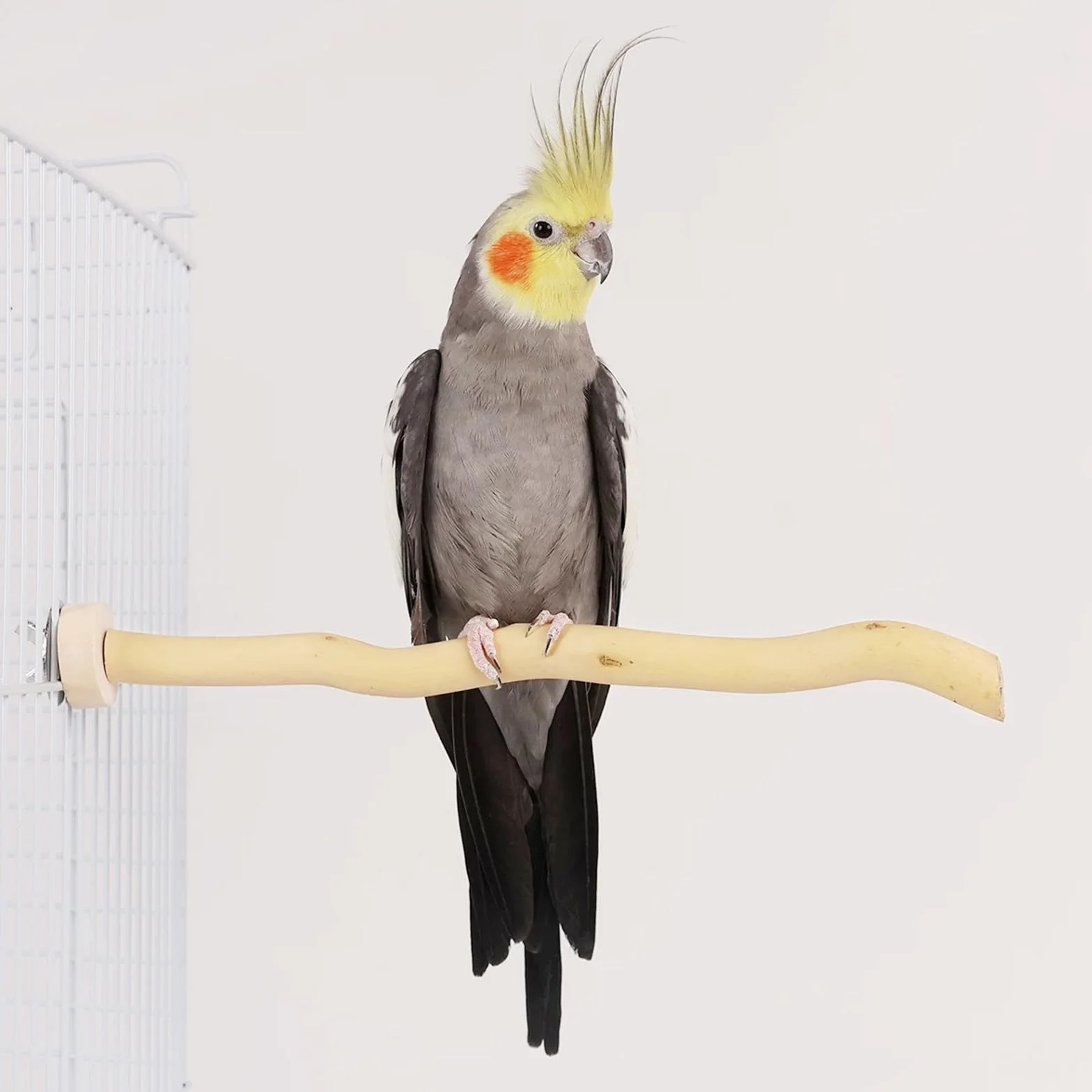 8 Pz Posatoi in Legno di Uccelli, U Forma Posatoi per Uccelli, Posatoi in Legno per Uccelli Legno Naturale per Cacatua, Cocorite