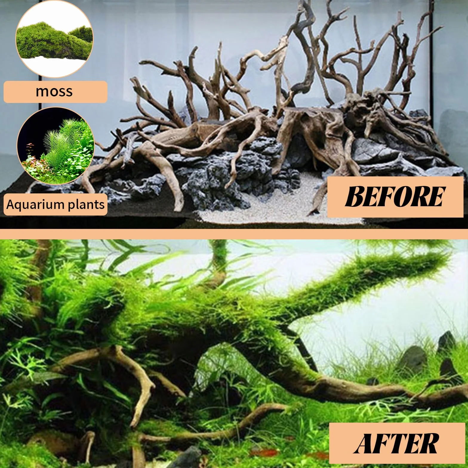 Pietre per Acquario 4 Pezzi Tronchi Acquario Acqua Dolce 12-20cm Vendita Radici di Legno Forma Casuale Tronco Legno per Decorazione Interni Acquari e Terrari per Rettili
