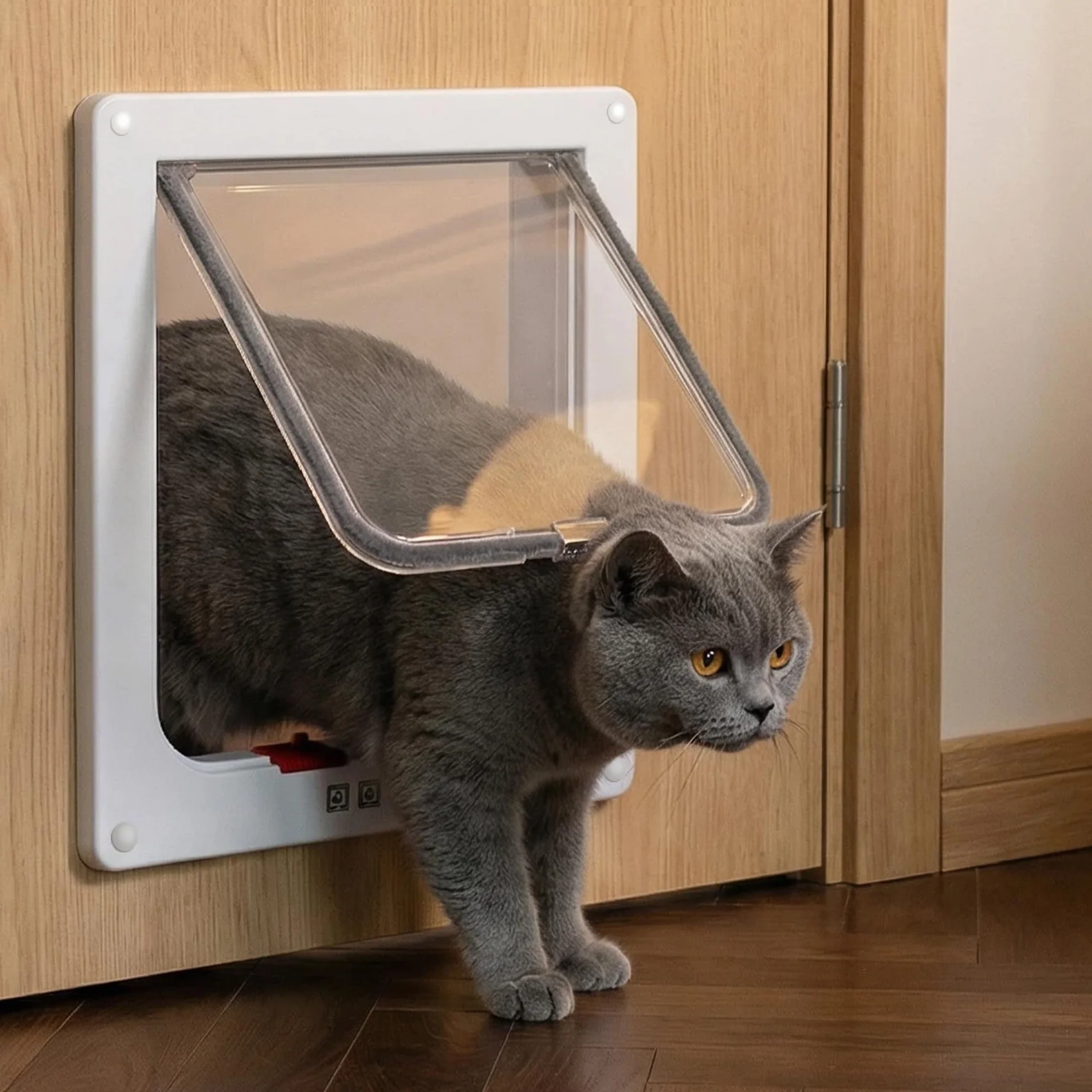 Acrilico Gattaiola per Gatti,Fine con Chiusura a 4 vie Porta per Gatti Animali Domestici, Facile da installare, Porticina per Gattis per Porte Interne ed Esterne per Finestre e Pareti (M)