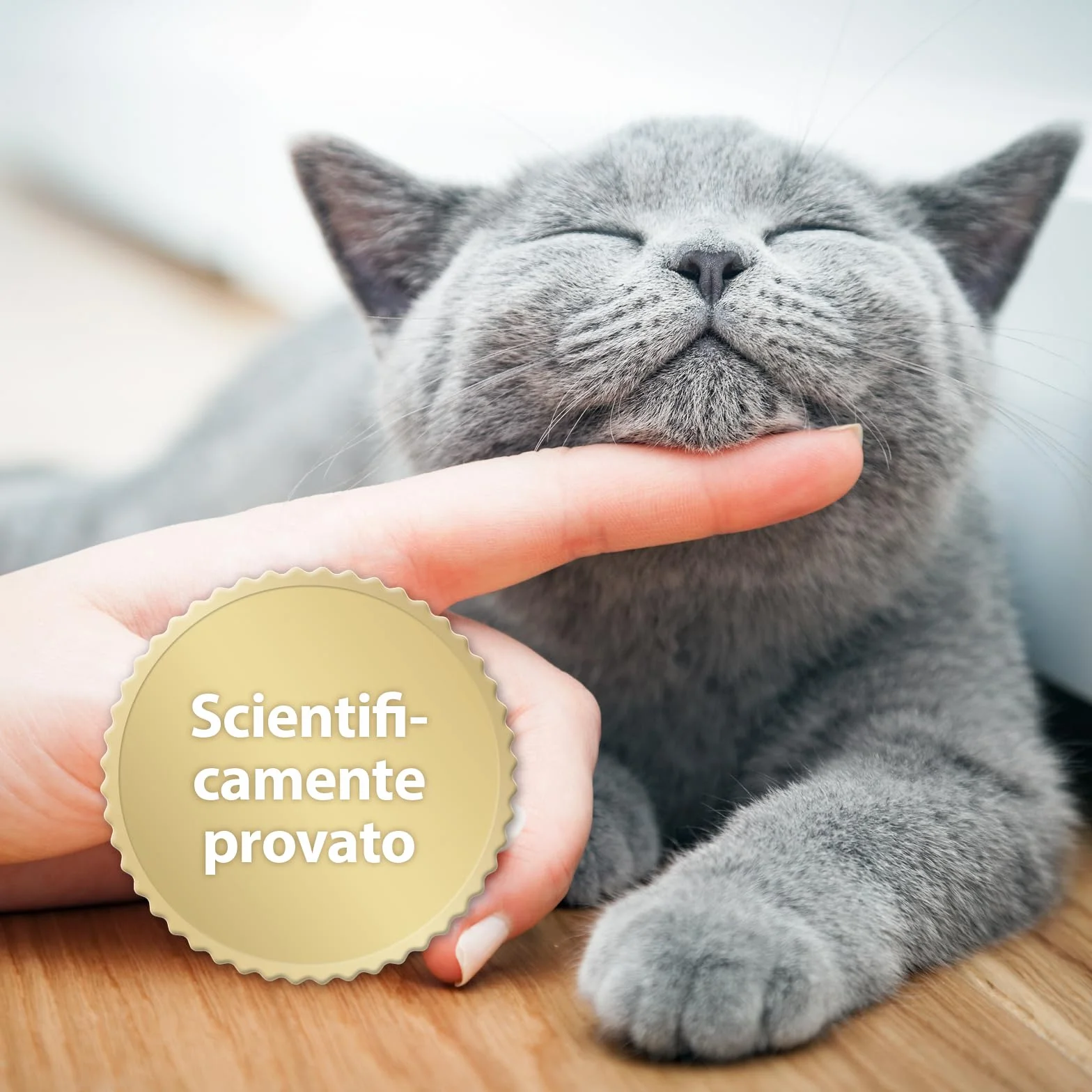 Felisept Home Comfort Spray Calmante Per L'Ambiente 100 ml - Con erba gatta naturale senza feromoni gatto - Benessere E Relax Per Il Gatto - Spray calmante gatto - Tranquillanti gatto
