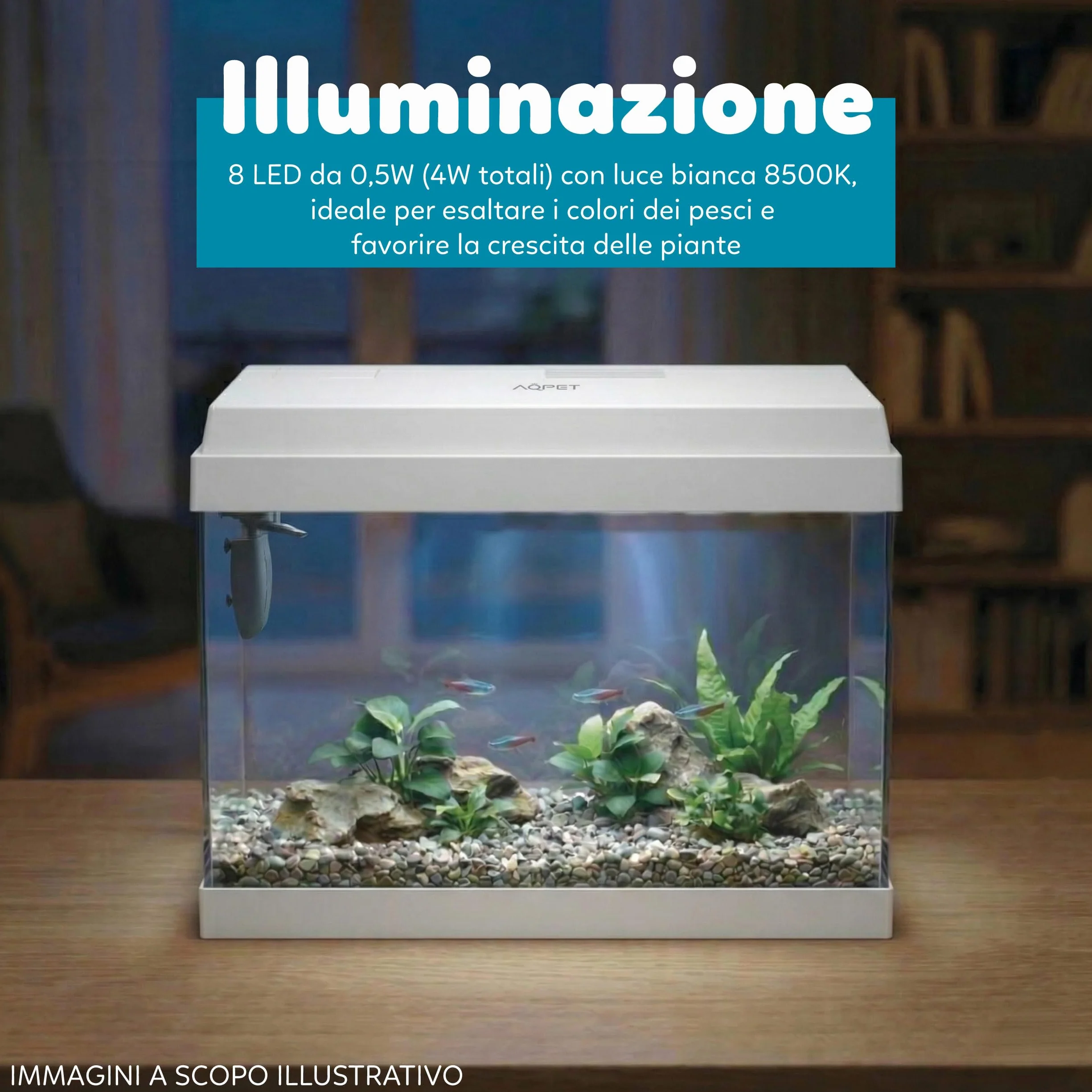 AQPET Acquario in Vetro per Pesci Tropicali Completo di Accessori Filtro Luce Simply, 30 39x22x30 cm 30 Litri, Bianco