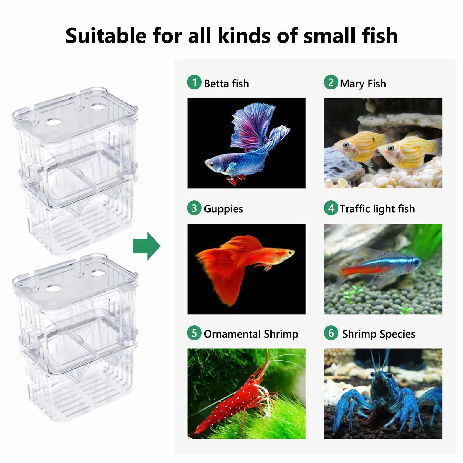 Scatola di allevamento per acquario, 2 pezzi, con ventose per gamberetti, piccoli pesci