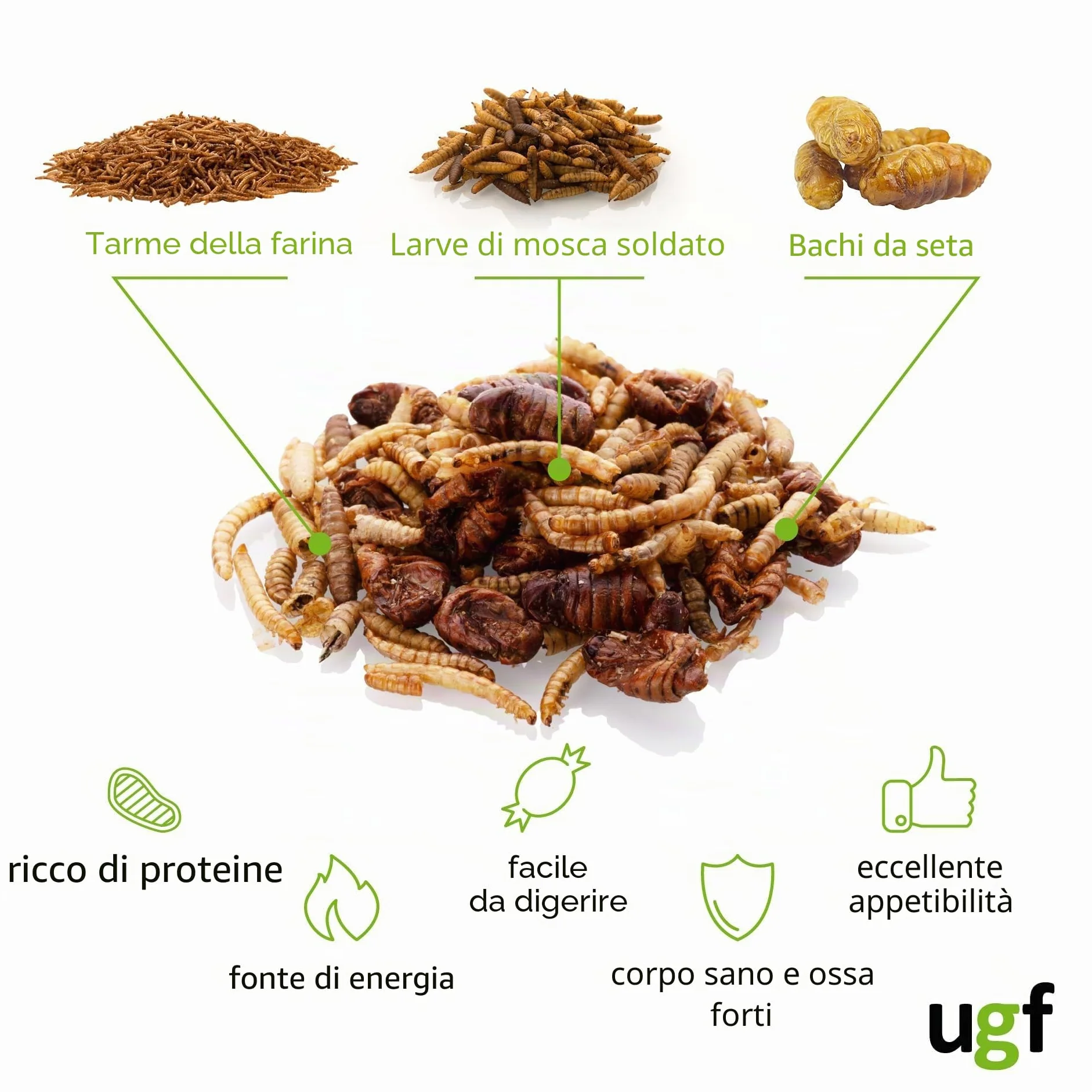 UGF Mix di insetti 80 g 500 ml cibo per ricci, gerbilli, criceti, ratti, lucertole - vermi della farina, larve di mosca soldato nera, bachi da seta