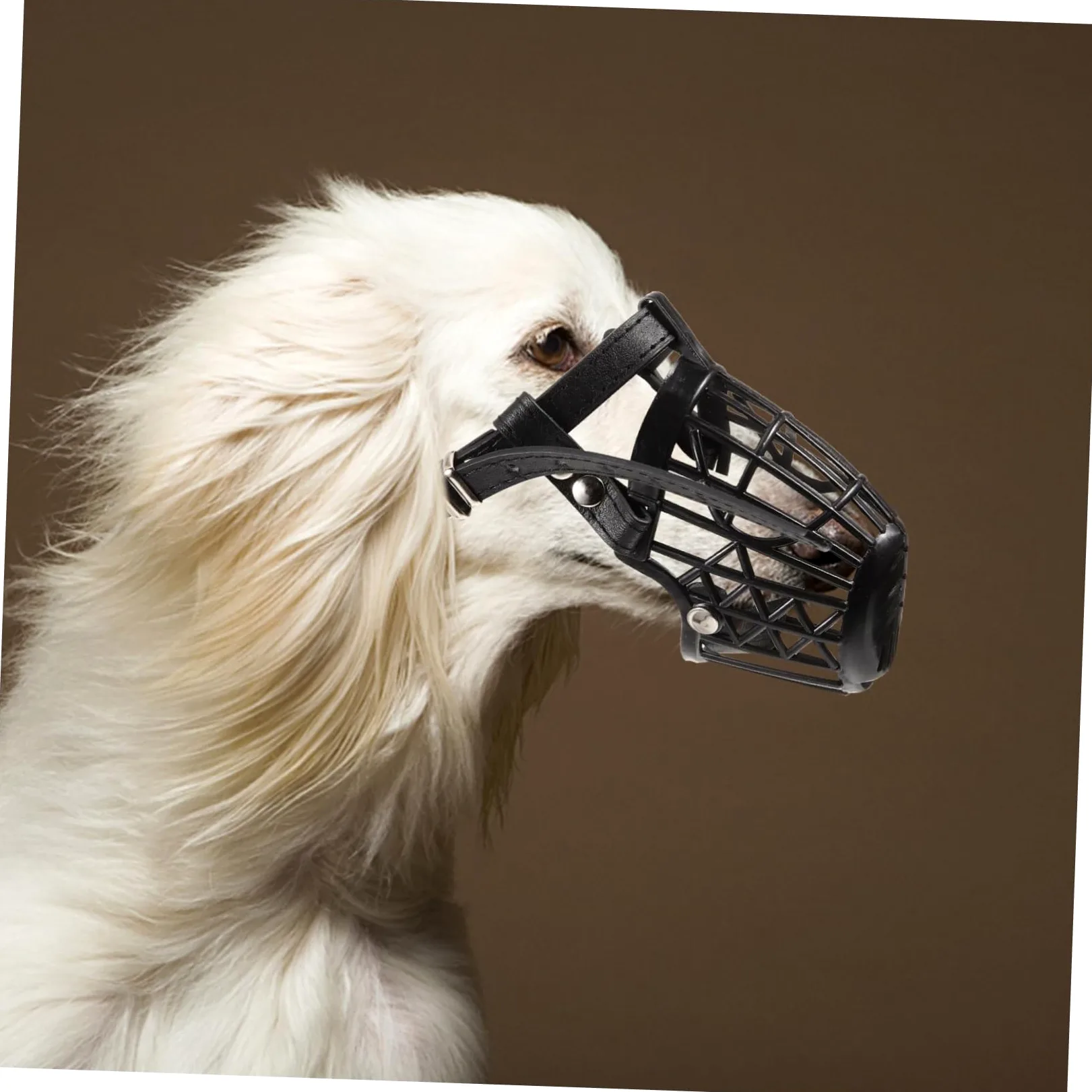 INOOMP Museruola per Cani in Plastica con Cestello Regolabile e Cinturino in Pelle Pu Nero, Set da 7 Unitá Anti-morso Traspirante per Cani e Animali Domestici