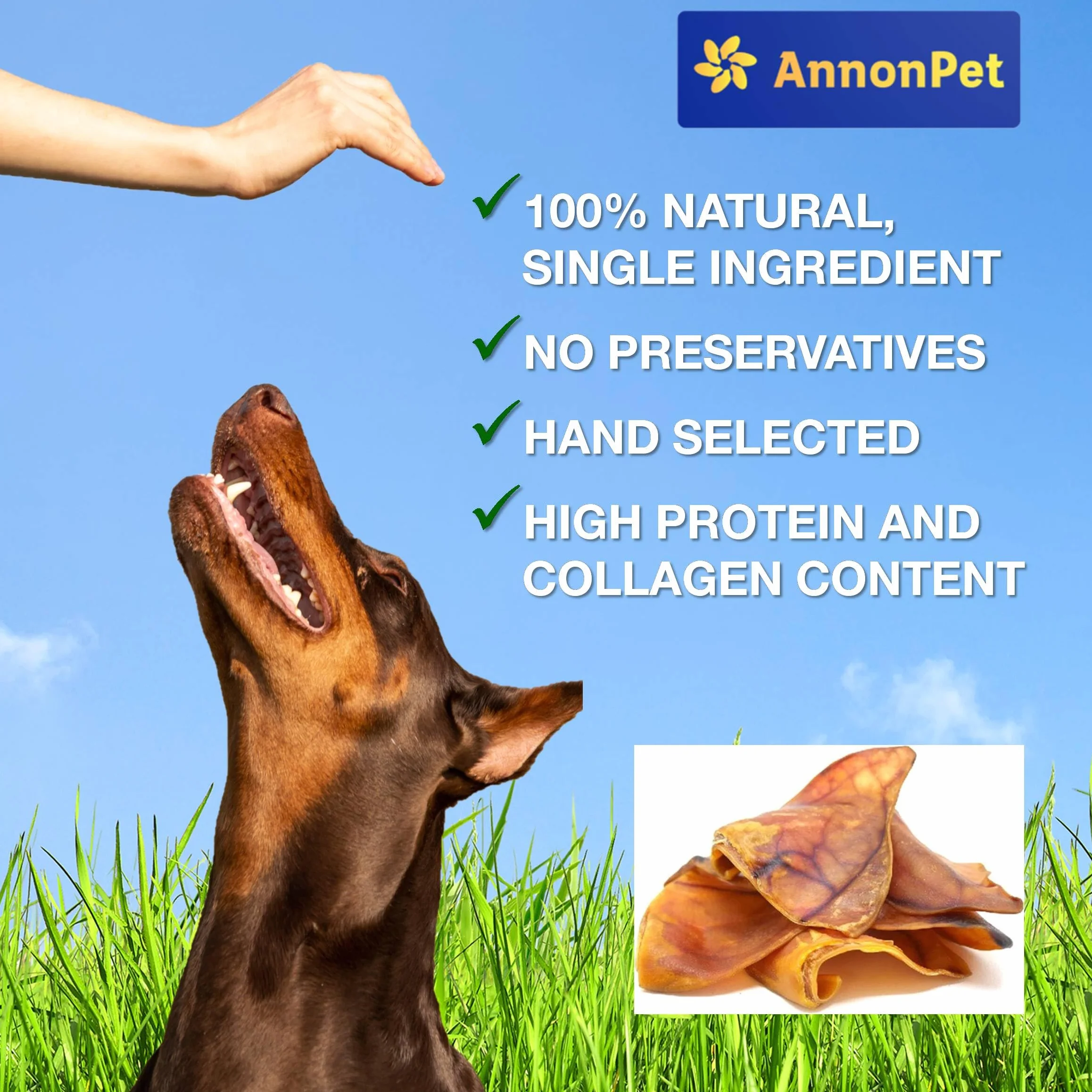 Orecchie di Maiale Essiccate per Cani – 10 Pezzi Naturali – Snack Masticativo Naturale e Gustoso – Ricco di Proteine – Senza Additivi – Ideali per Tutte le Taglie
