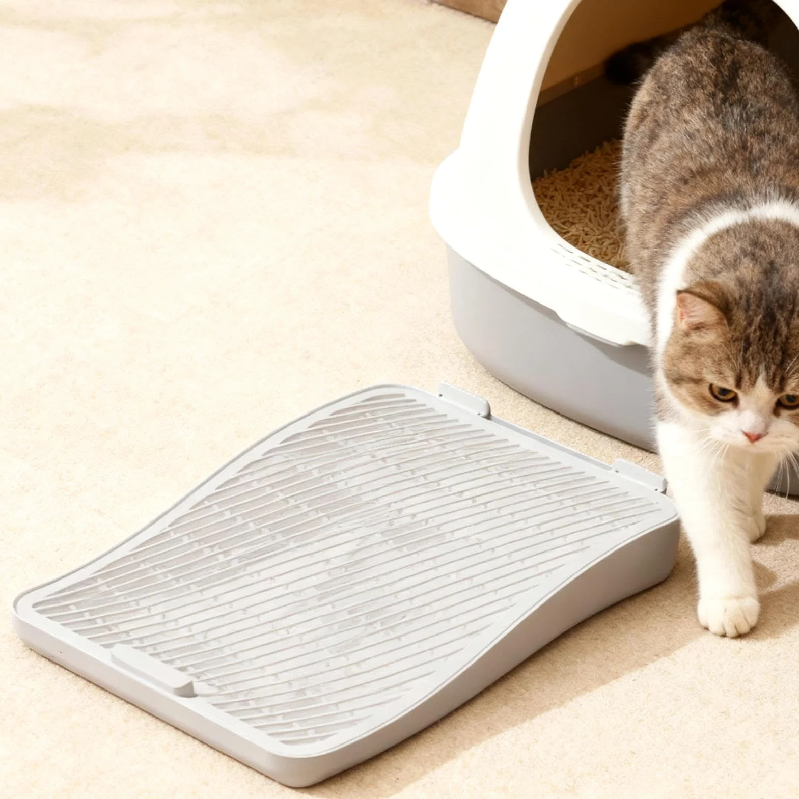 Rampa per la lettiera per gatti – rimovibile per la raccolta di lettiera | per gatti | gradino – per gatti di piccole dimensioni medie e grandi e anziani, divano appartamento balcone