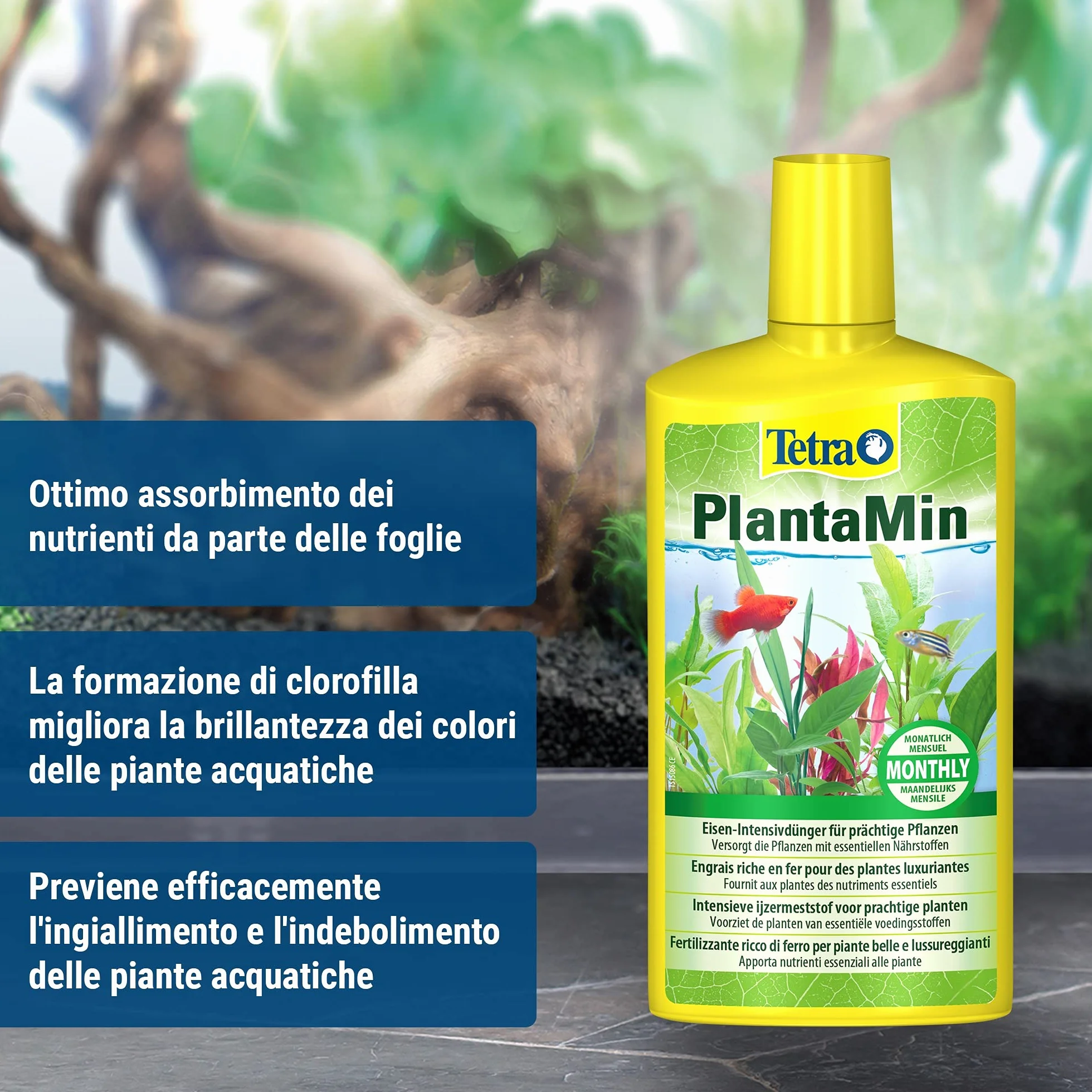 Tetra PlantaMin 500 ml, Sostanze Nutritive Fondamentali, per una Colorazione Verde e Rossa Intensa delle Foglie