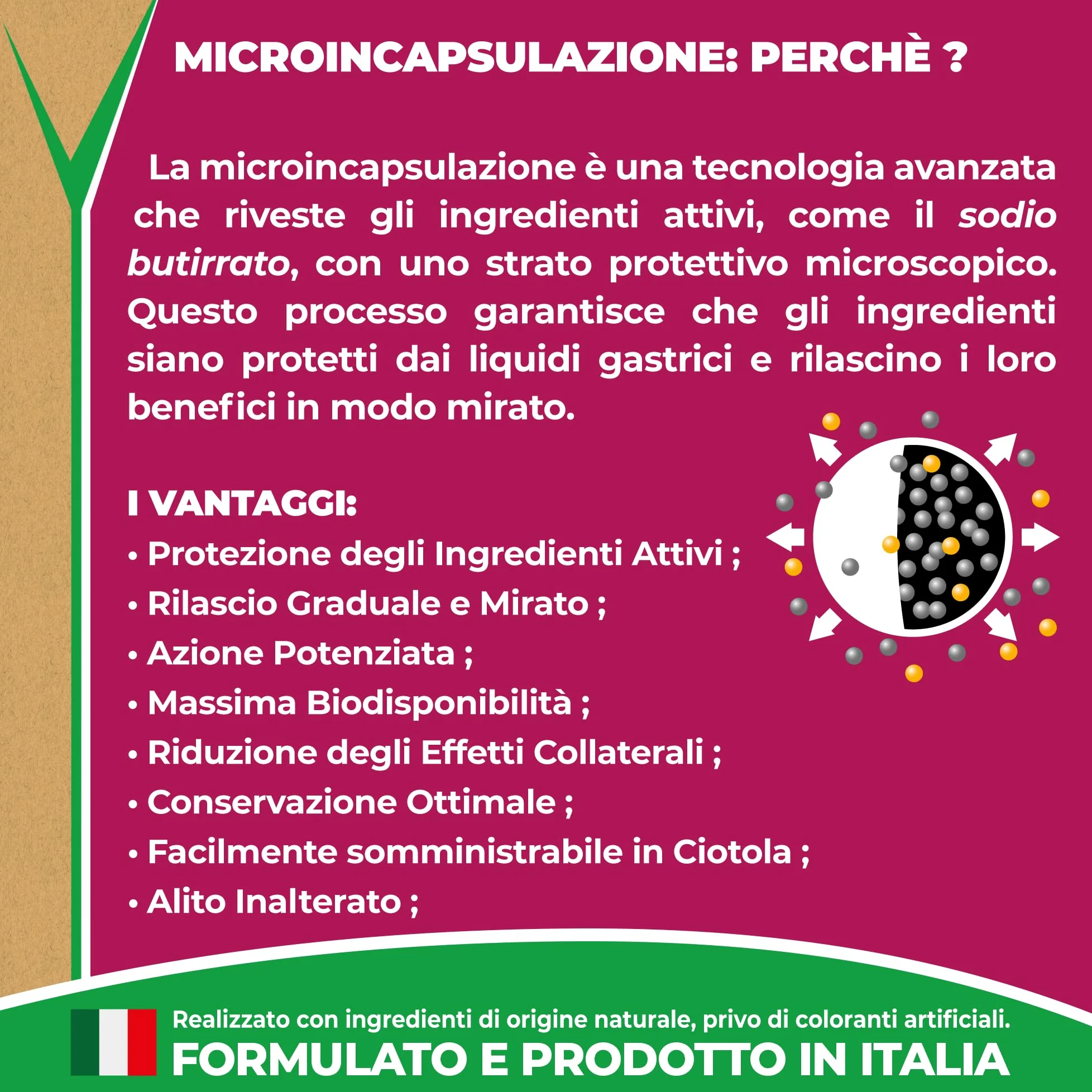 EVVIVA Entero Appetite | Probiotici per Cani a base di Sodio Butirrato per l’Equilibrio della Flora Batterica e il Benessere Intestinale, Integratore per cani efficace soluzione per la Diarrea Cane