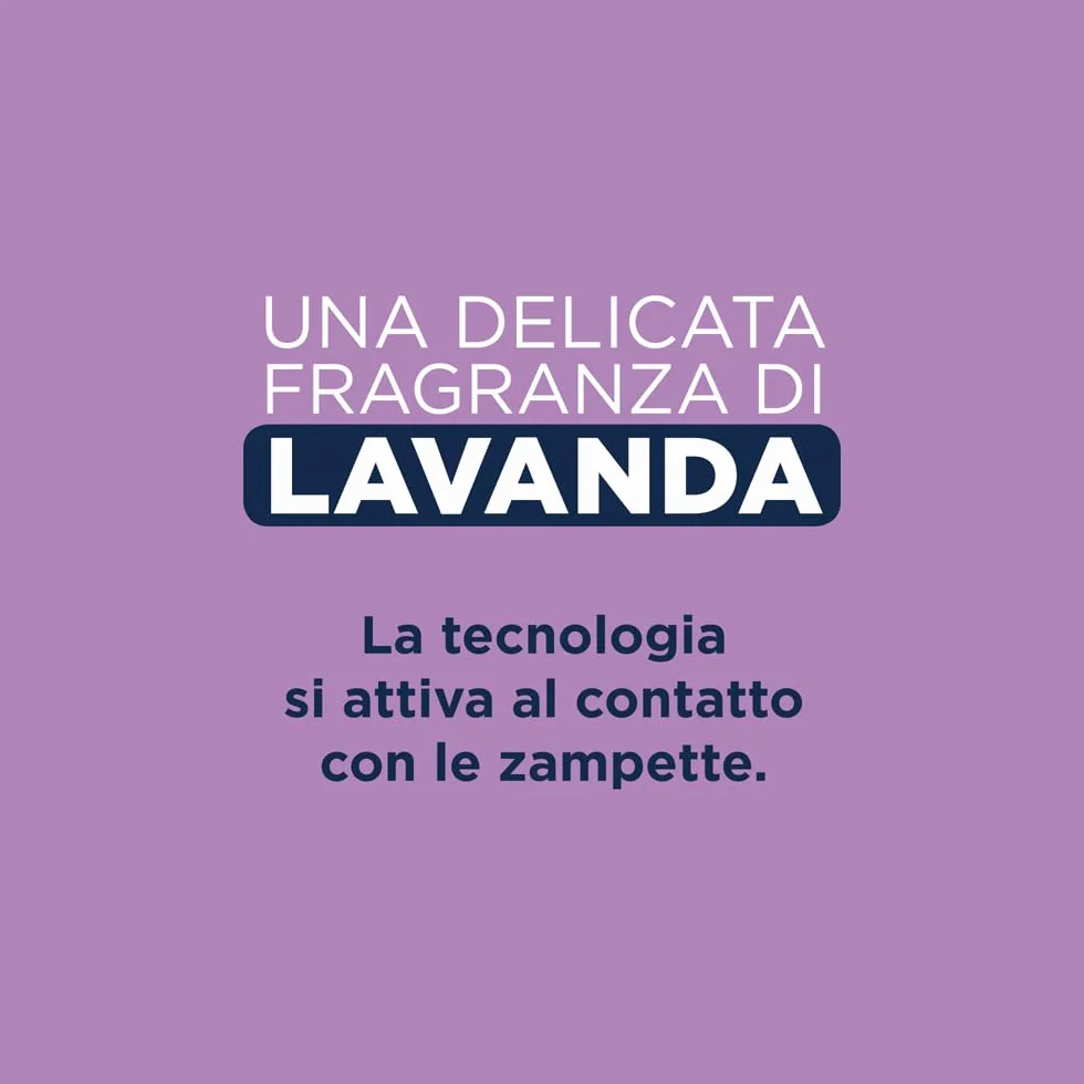 Ever Clean Lettiera Agglomerante Ever Clean alla Lavanda, 10 Litri, Profumata - 9000 g