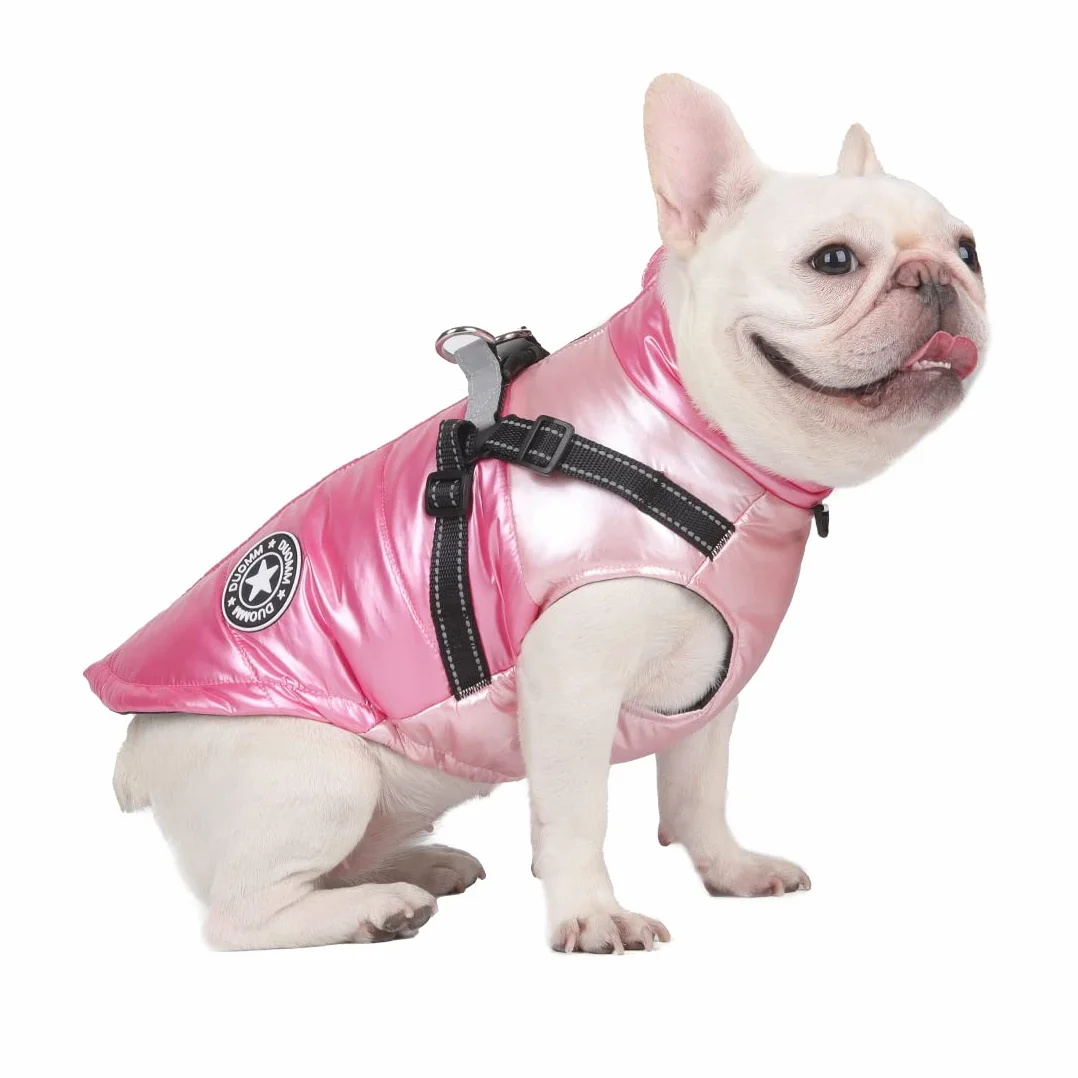 Cappotti per cani gatti Giacche Imbracatura per caldo Inverno in cotone riflettente Abbigliamento di sicurezza Cappotto per domestici impermeabile per cani di taglia piccola e media taglia