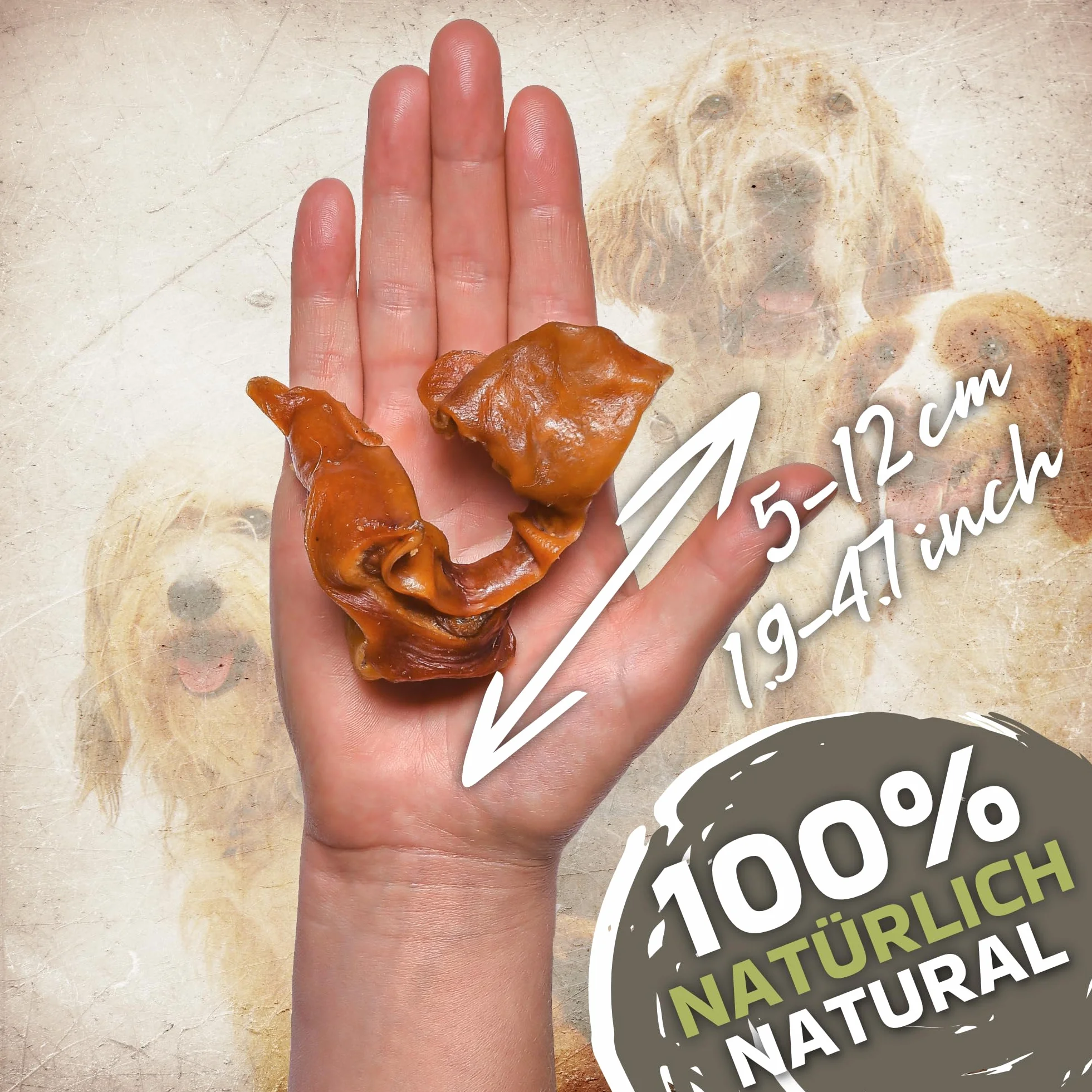 Strisce di carne di maiale per cani 1 kg (55-65 pezzi) | Snack naturale al 100% | Taglia mista 5-10 cm | Senza cereali né additivi