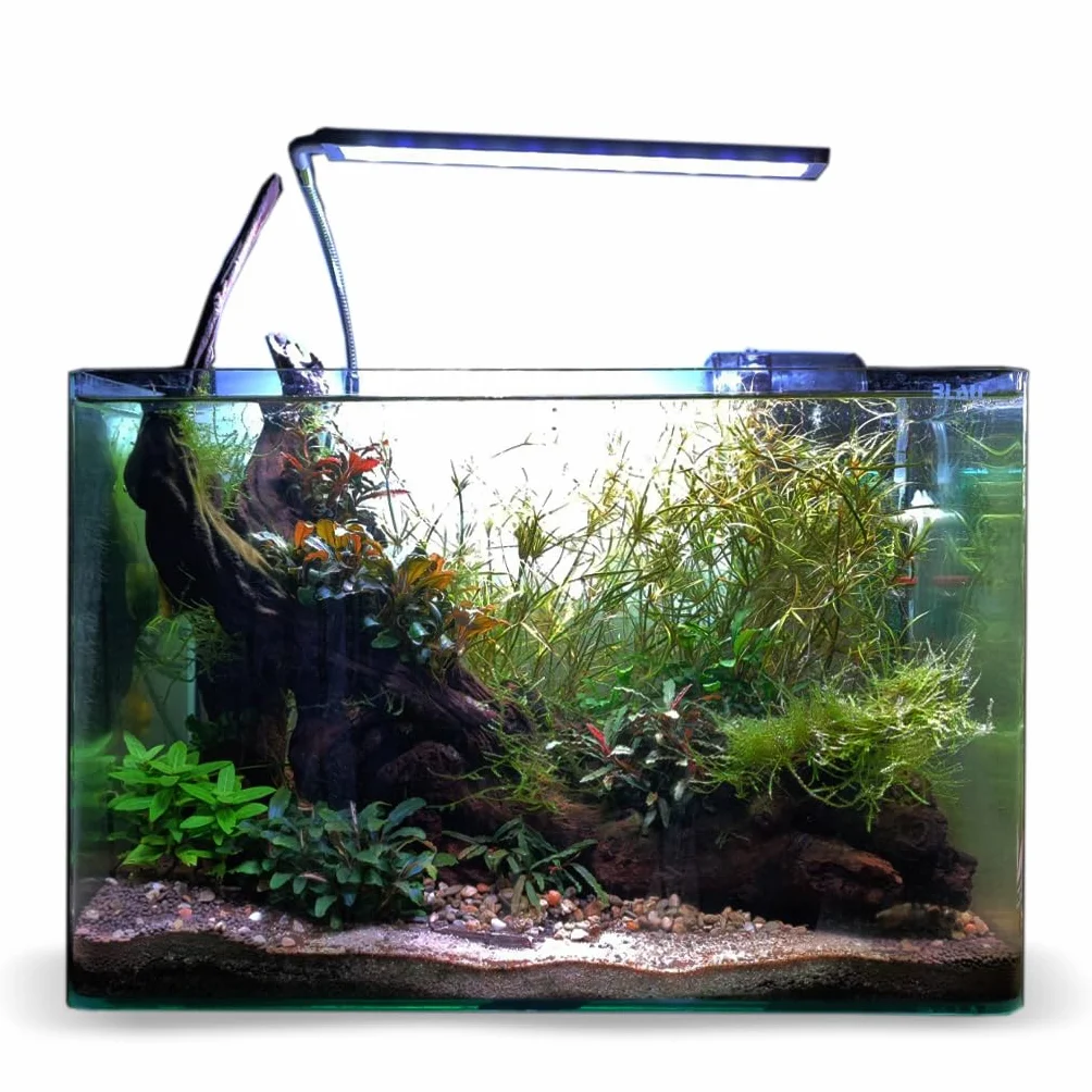 Blau Aquaristic Cubic Panoramic 31X18X24 Cm 13 Litri 3900 g