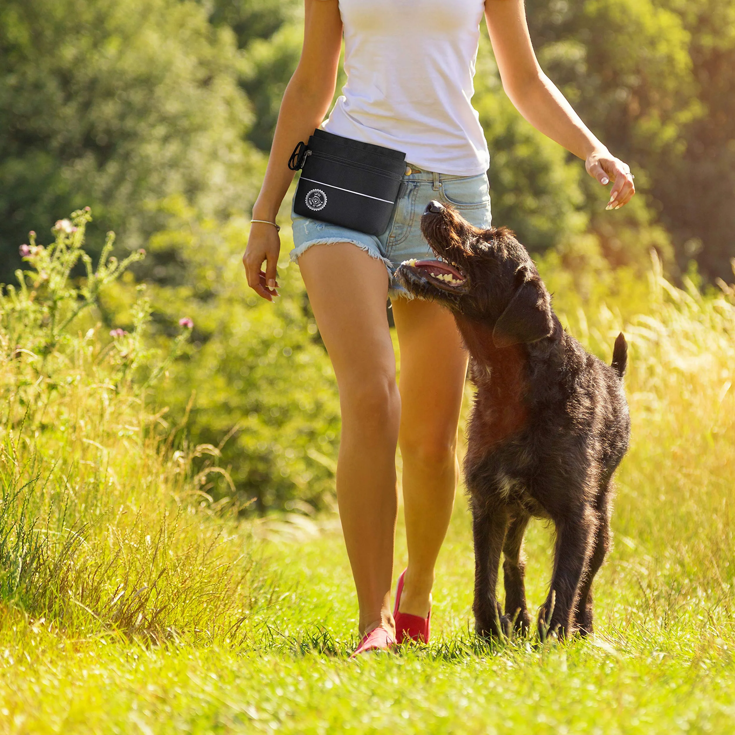 Borsa per premietti cane con tasca magnetica a una mano, 2 tasche con cerniera, tasca interna rimovibile, cinghia per spalla imbottita, moschettone gratuito, perfetto per addestramento agility canino