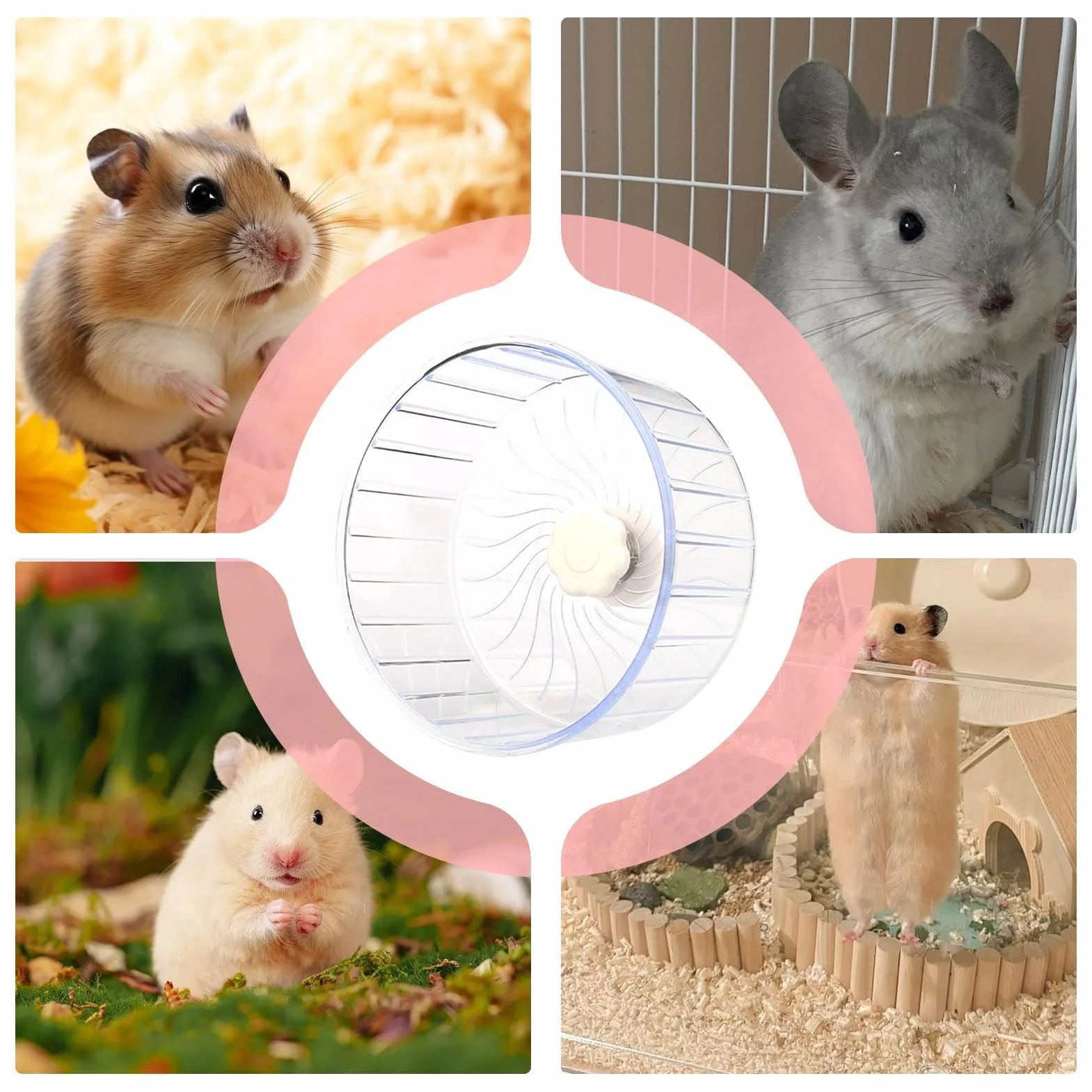 Ruota Per Criceti | Girevole Tranquillo A Doppio Cuscinetto,Ruota Da Corsa Per Gerbilli E Animali Piccoli | Per Topi Criceti Siriani Nano Per Gabbia