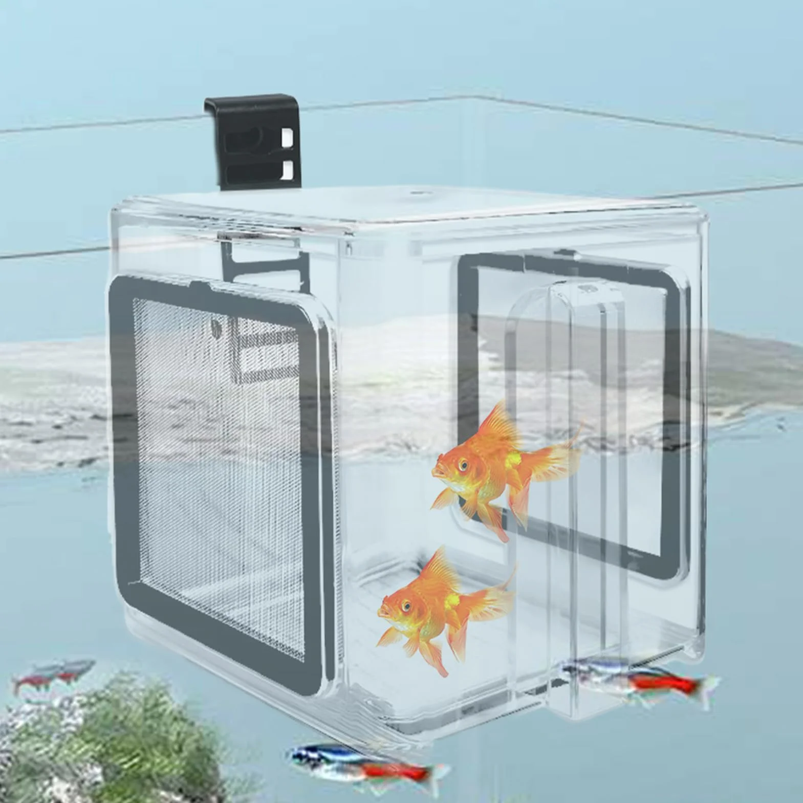 Scatola per allevamento di pesce, scatola isolante in acrilico per acquari – scatola acrilica incubatrice per acqua dolce e marina con divisorio