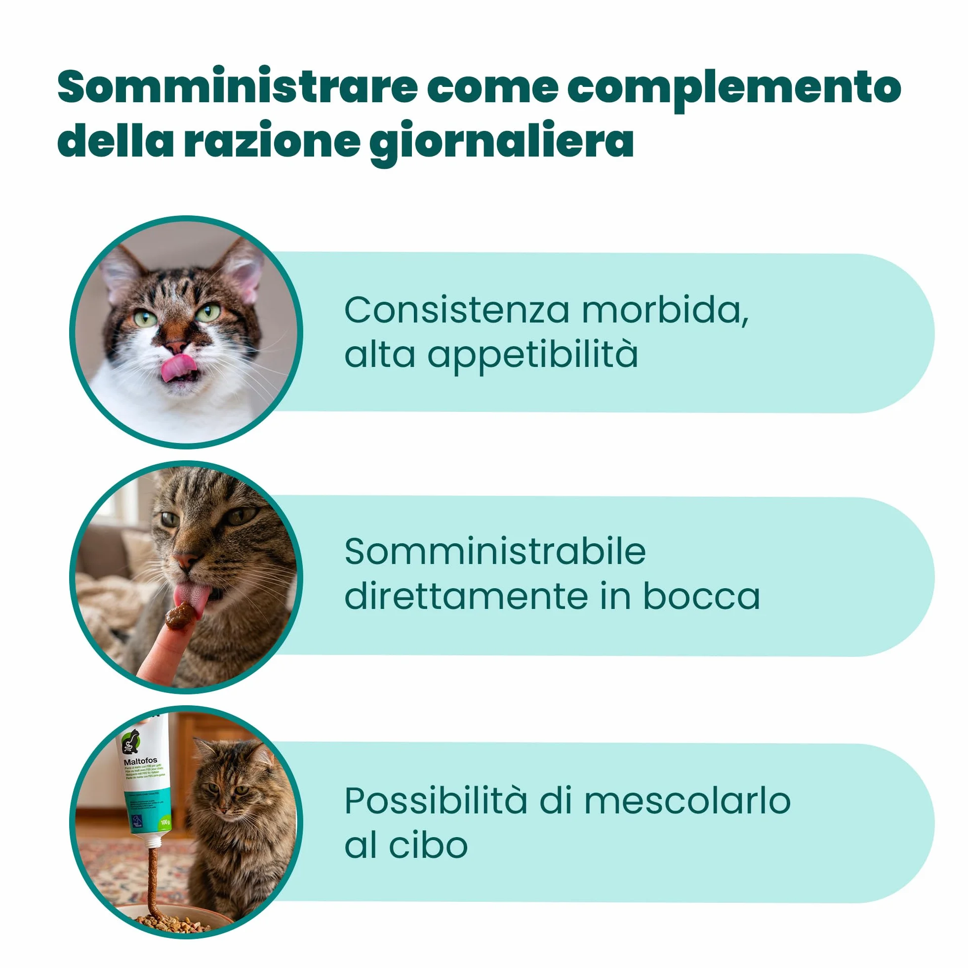CAMON | Malto Fos, Alimento Complementare in Pasta, 50g, Supporto per Transito Intestinale e Boli di Pelo, per Gatti, Cani, Conigli e Furetti
