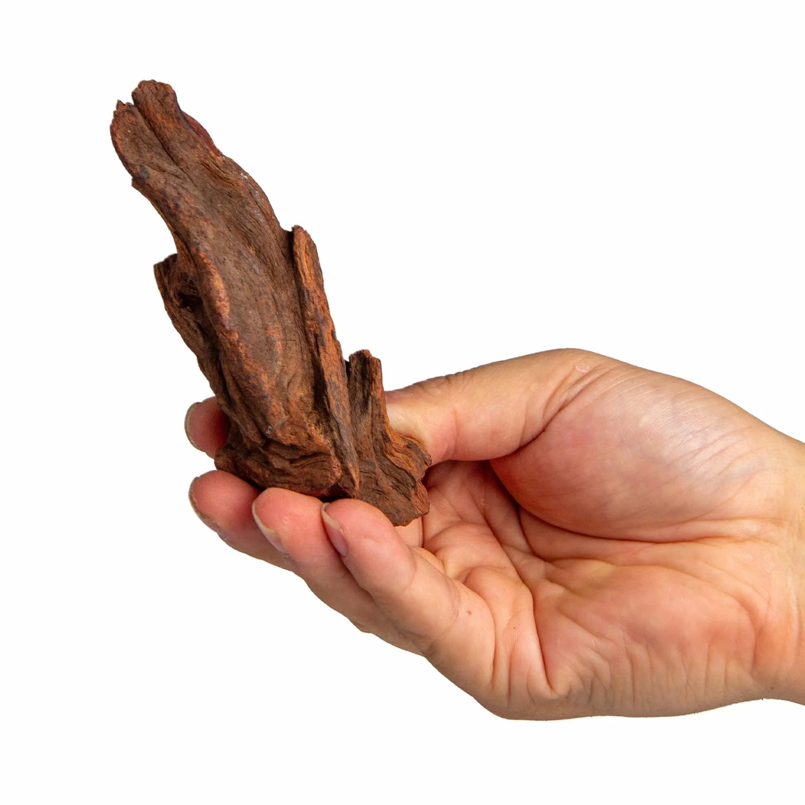 emours Legno naturale per acquario, 116,8 cm, rami intrecciati naturali, a basso tannino, ideale per acquari di gamberetti/betta e nano, anche per terrari per rettili (confezione da 5 pezzi)