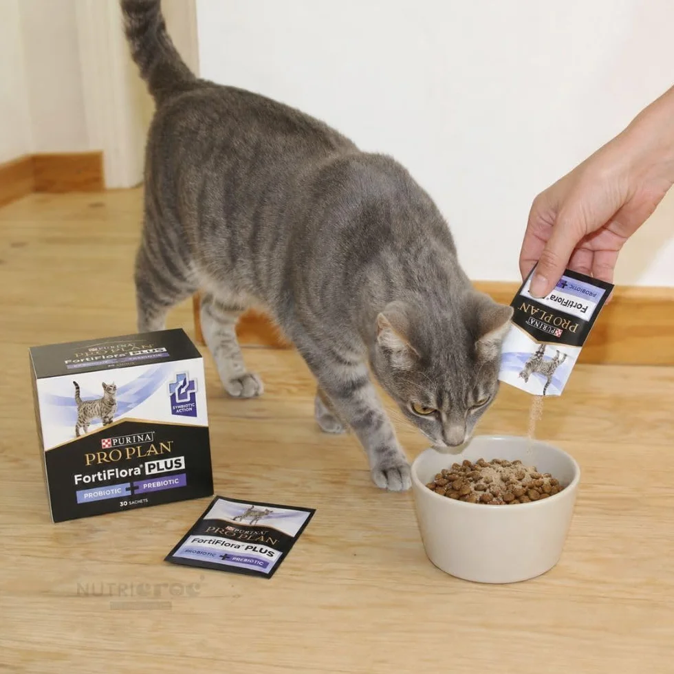 PURINA | ProPlan FortiFlora Plus Gatti, 30 buste x 1,5 grammi - Aiuta a mantenere la salute del microbioma intestinale