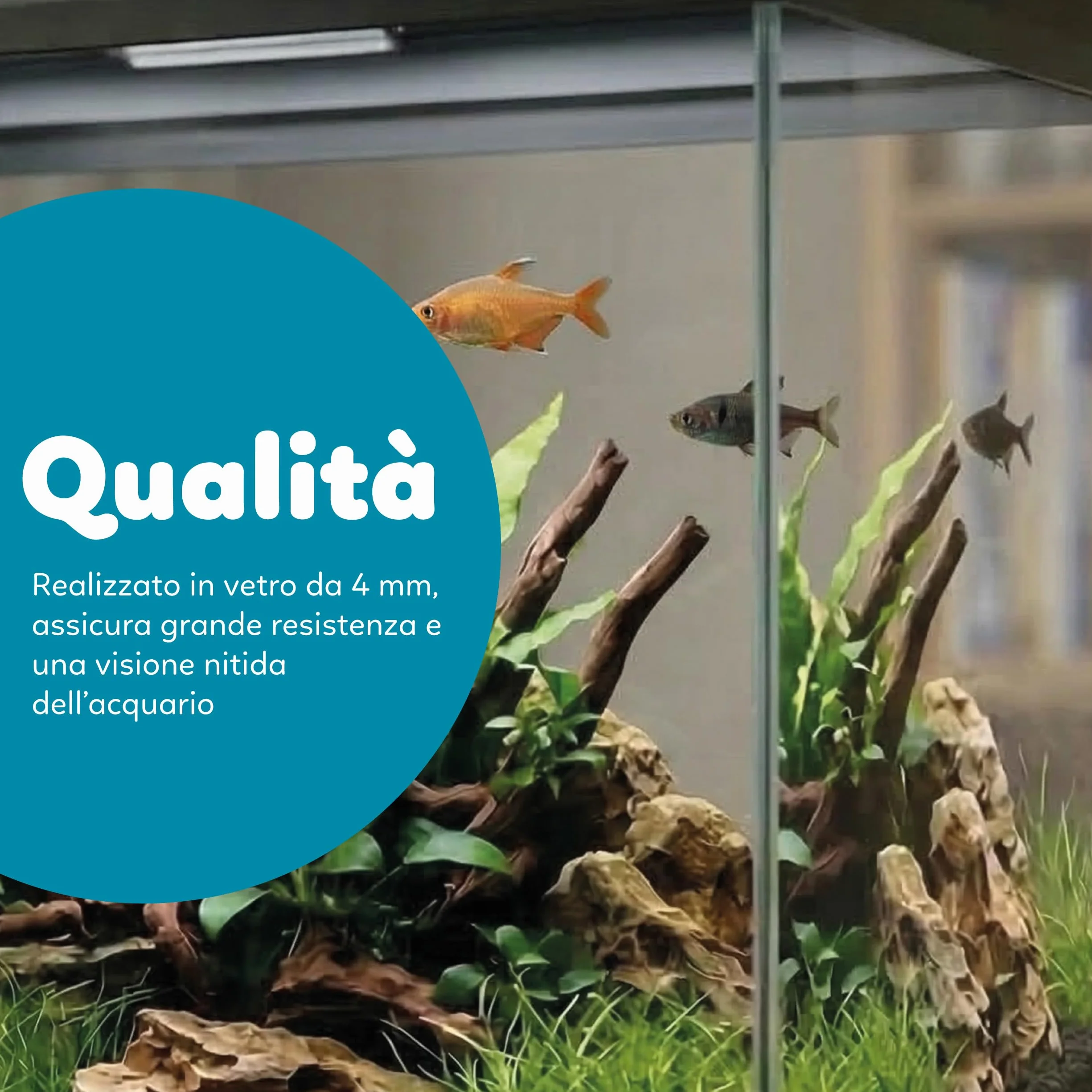 AQPET Acquario in Vetro per Pesci Tropicali Completo di Accessori Filtro Luce Simply, 30 39x22x30 cm 30 Litri