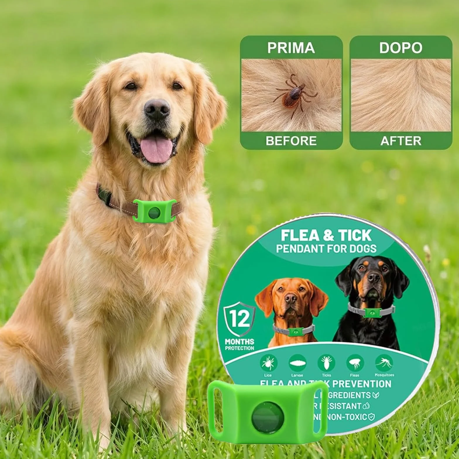 Aquality Pets Collare Antiparassitario Naturale, Ciondolo Repellente Per Pulci E Zecche Per Cani, Ingredienti 100% Naturali, Protegge Da Pulci E Zecche