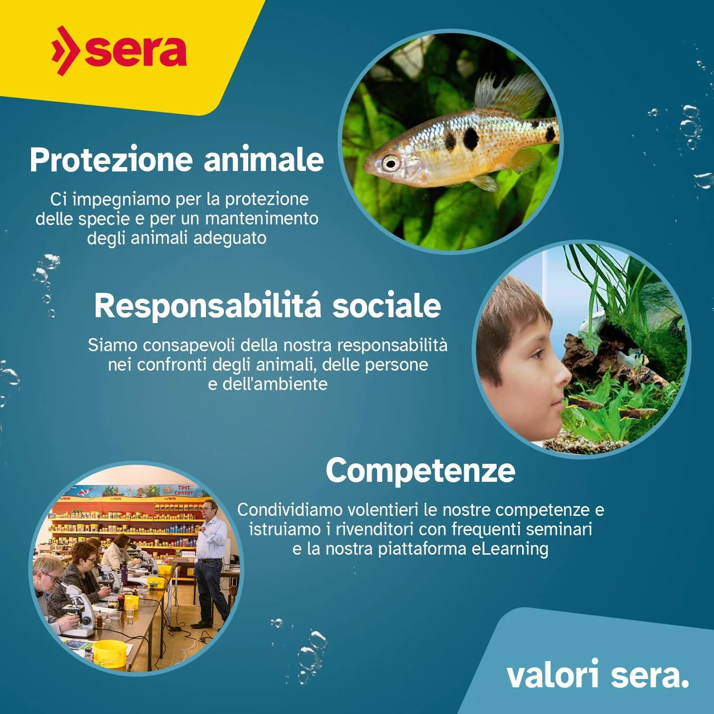 sera Nitrate Test 15ml | Misura livello di nitrati per prevenire alghe e favorire crescita delle piante | Kit analisi acqua con cuvetta, siringa, cucchiaino, scheda di valutazione